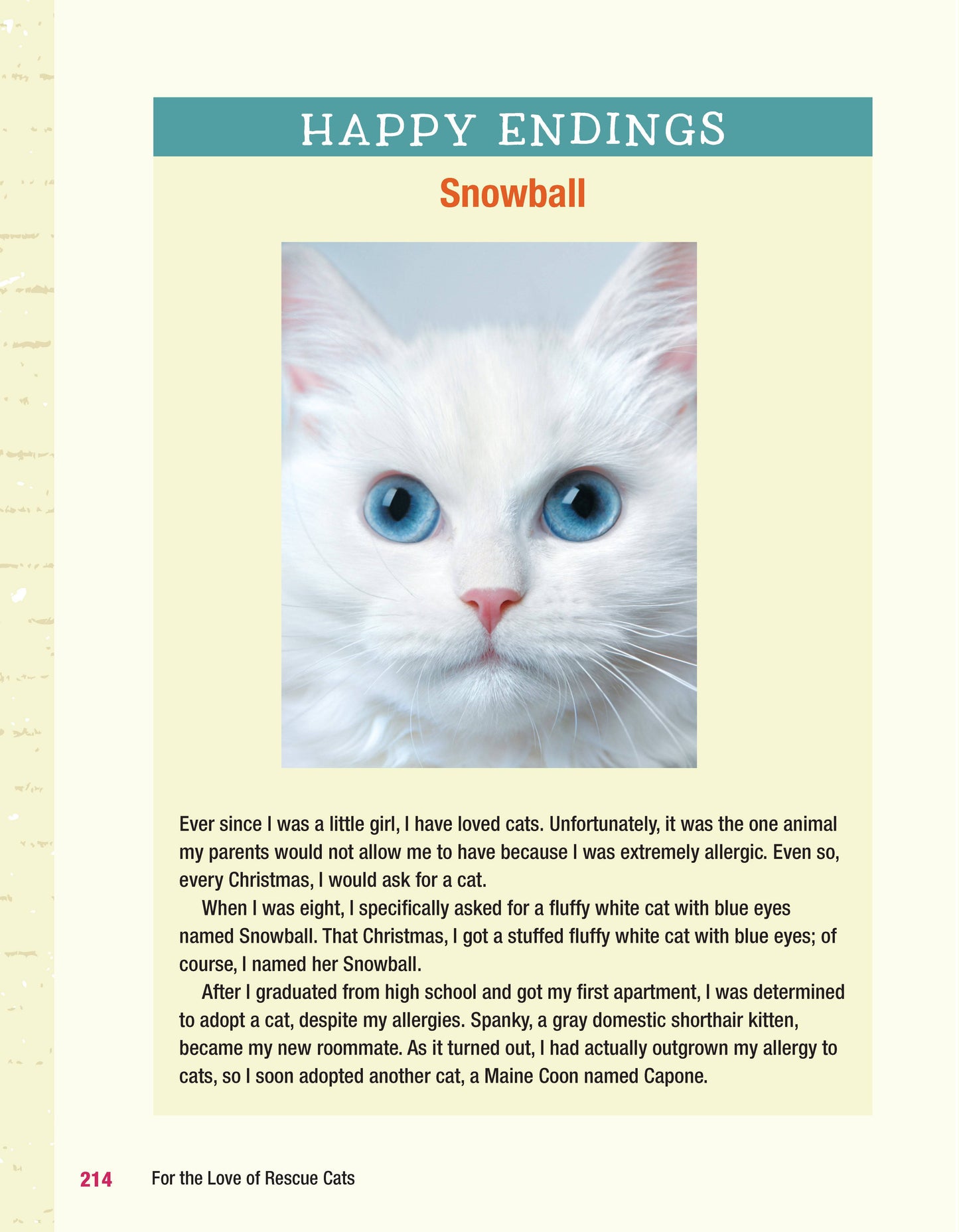 For the Love of Rescue Cats