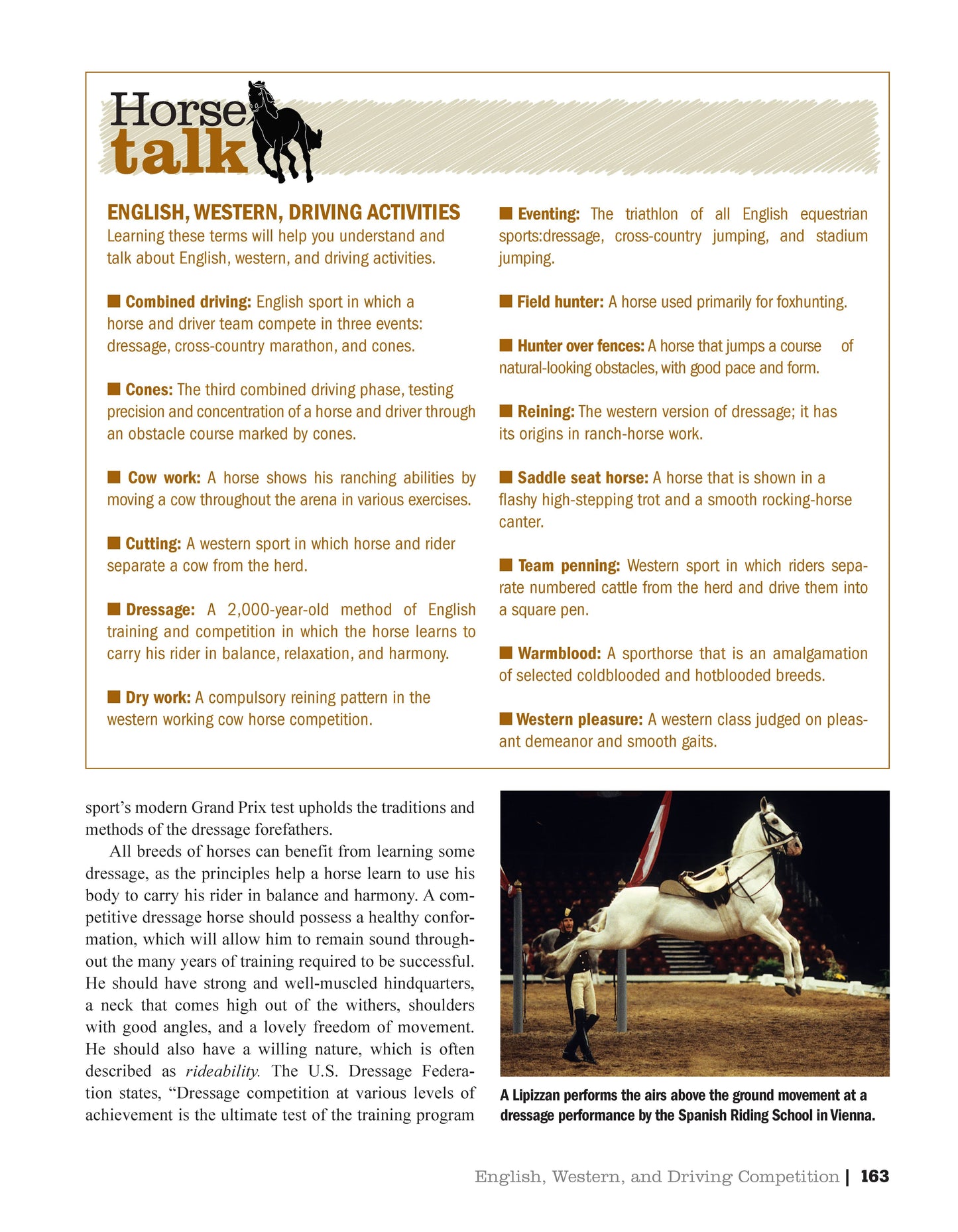 Original Horse Bible, 2nd Edition