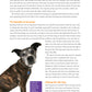 Ultimate Guide to Dog Training