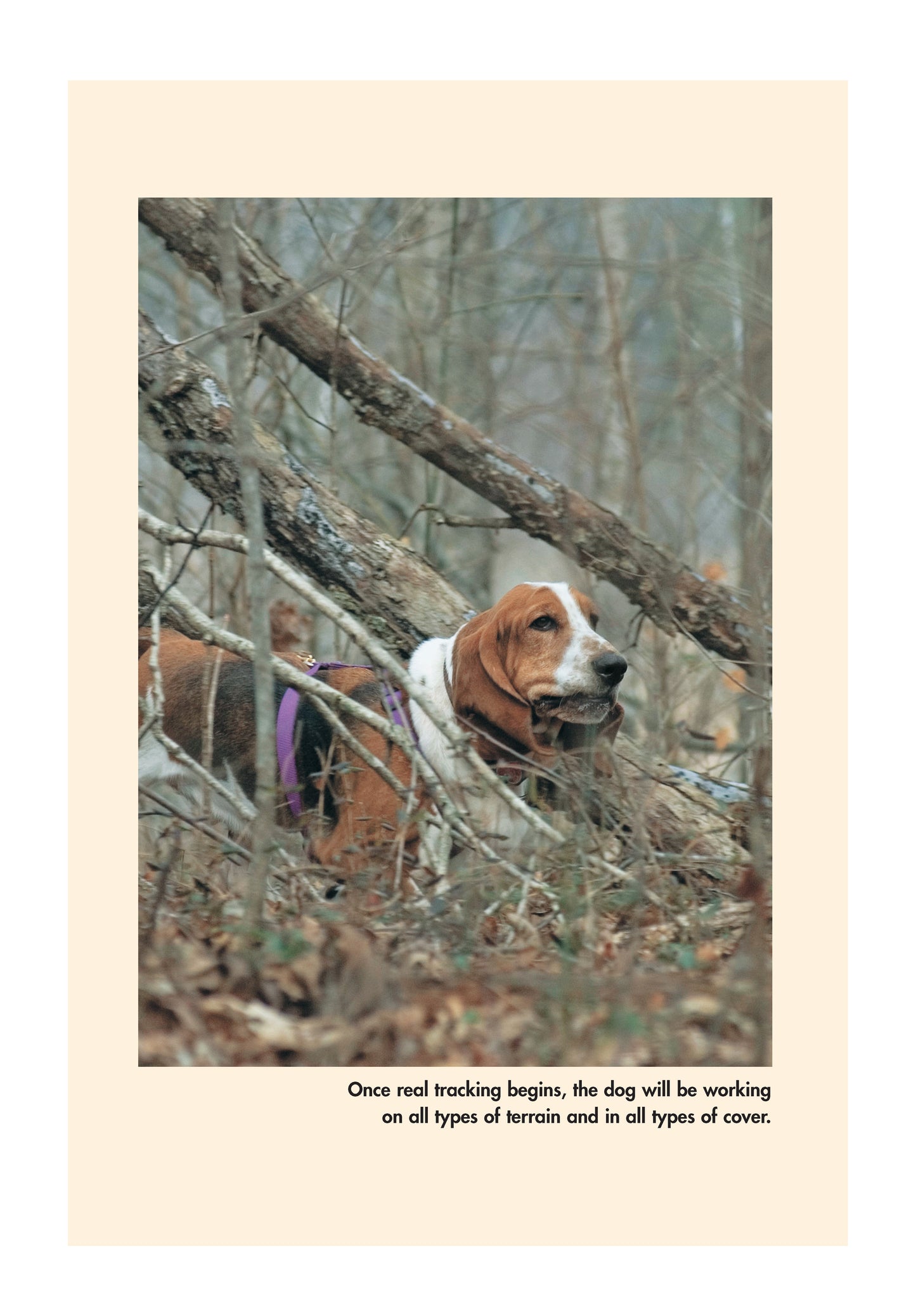 Canine Tracking Guide - Fox Chapel Publishing Co.