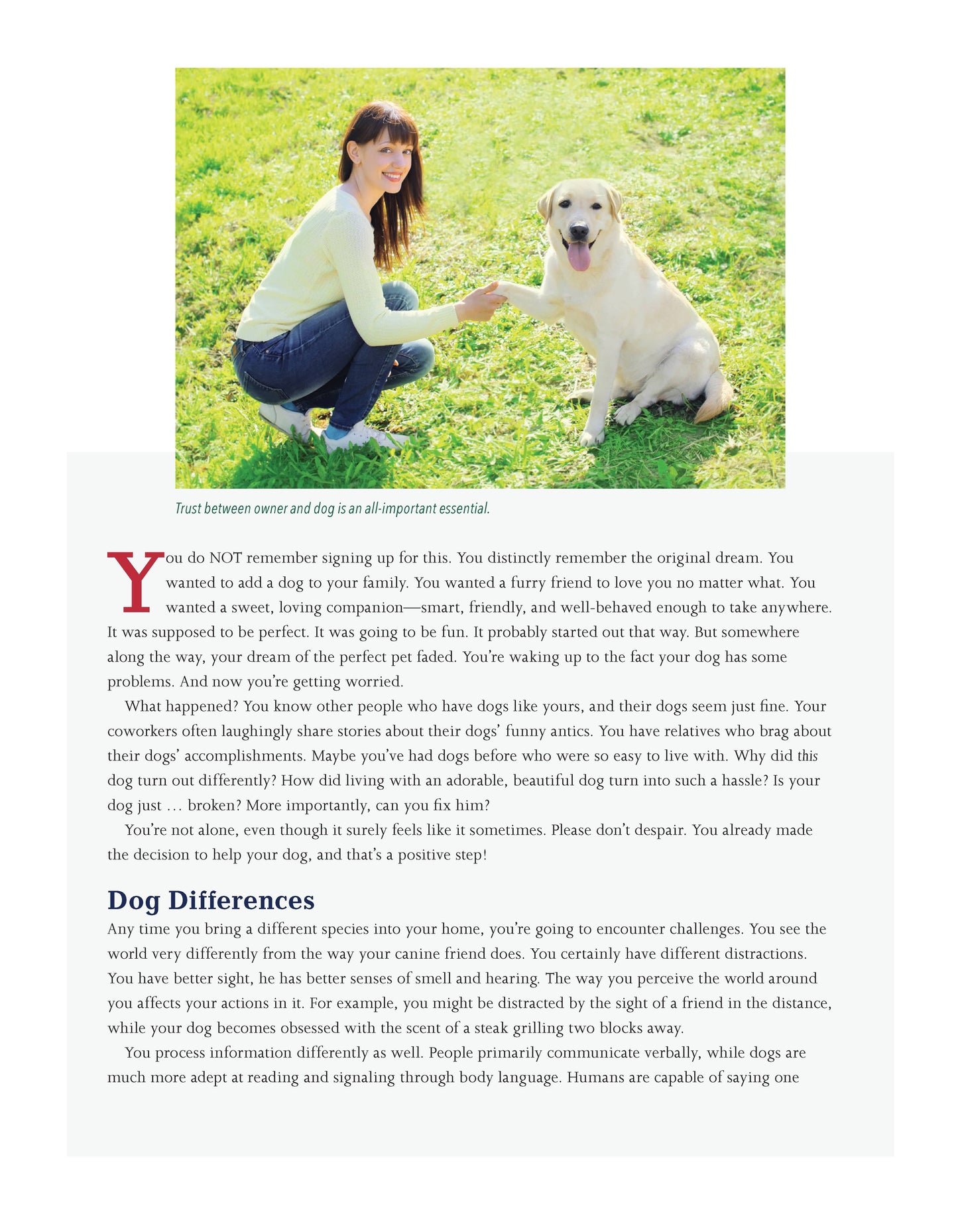 The Dog Behavior Problem Solver - Fox Chapel Publishing Co.