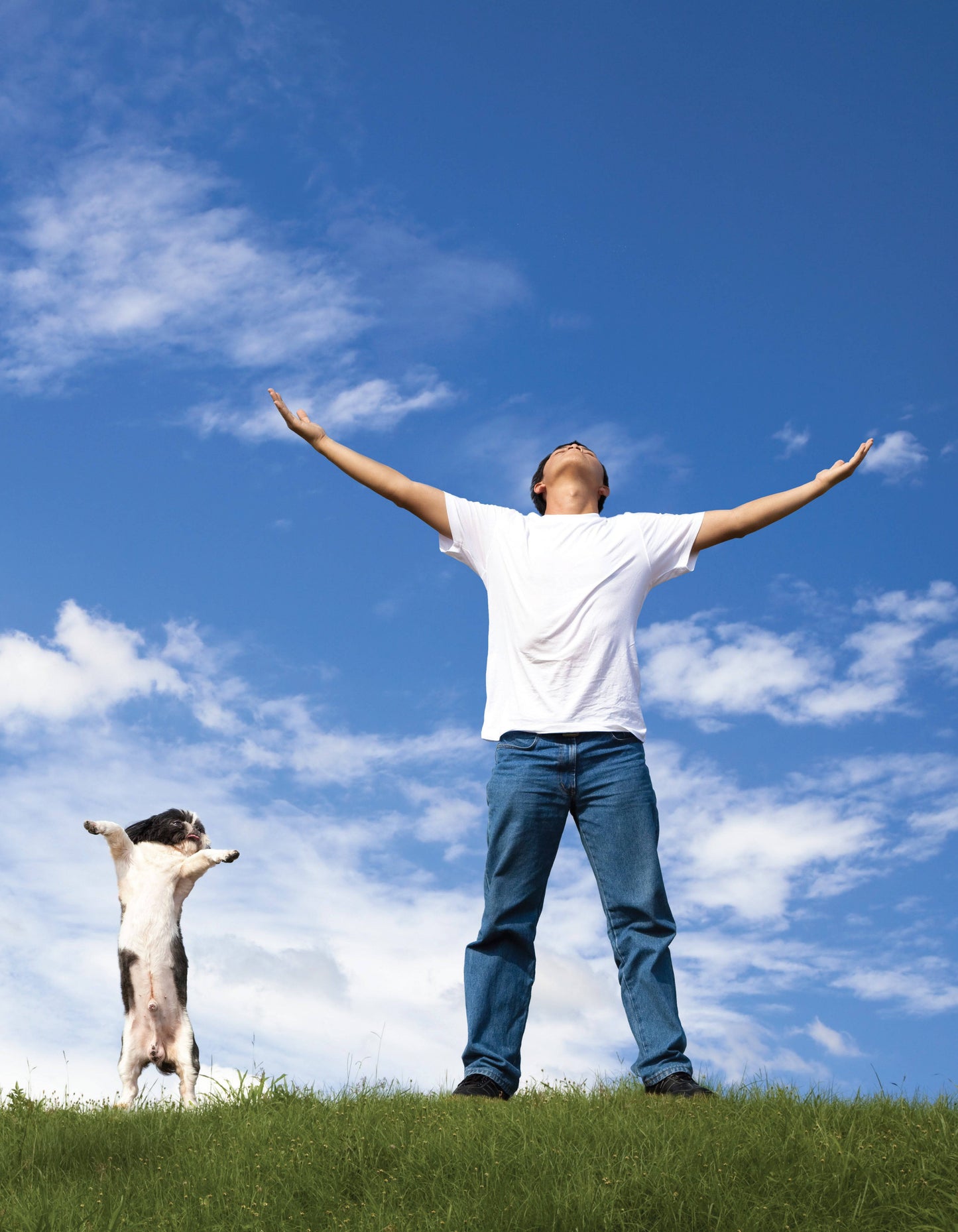 The Dog Behavior Problem Solver - Fox Chapel Publishing Co.