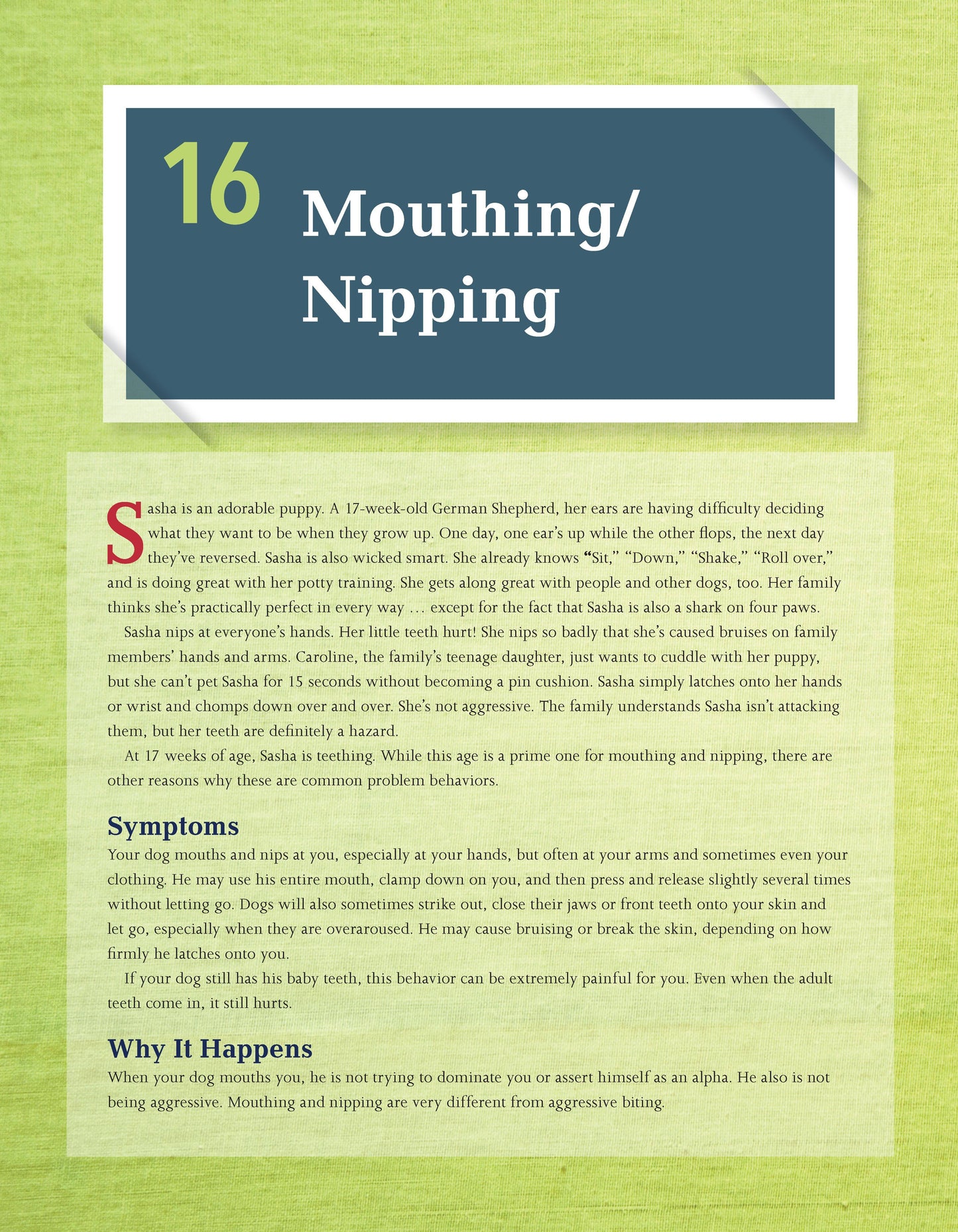 The Dog Behavior Problem Solver - Fox Chapel Publishing Co.