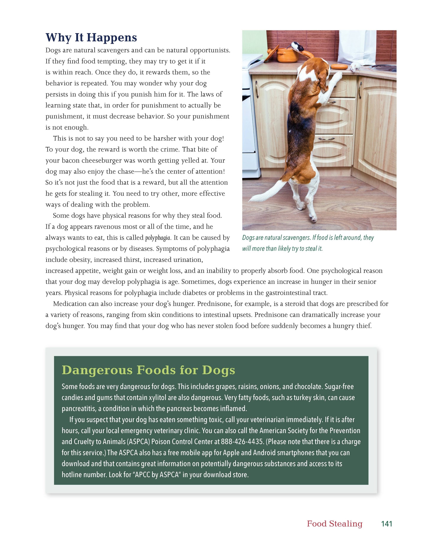 The Dog Behavior Problem Solver - Fox Chapel Publishing Co.