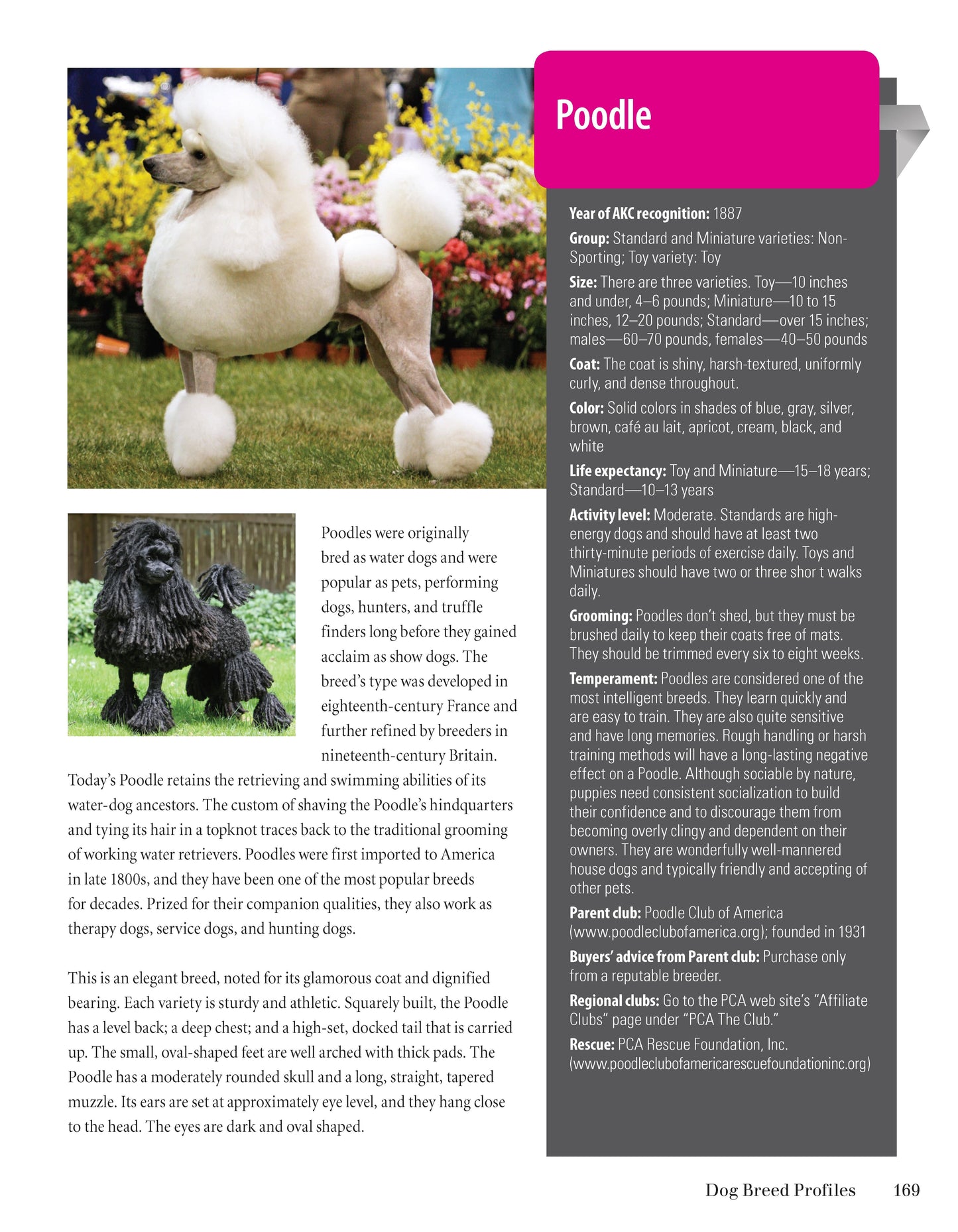 Meet the Breeds