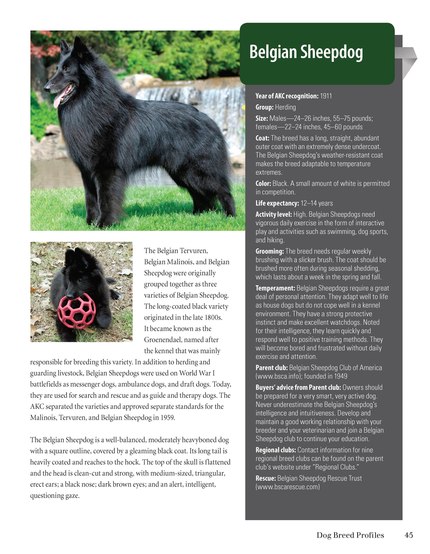 Meet the Breeds