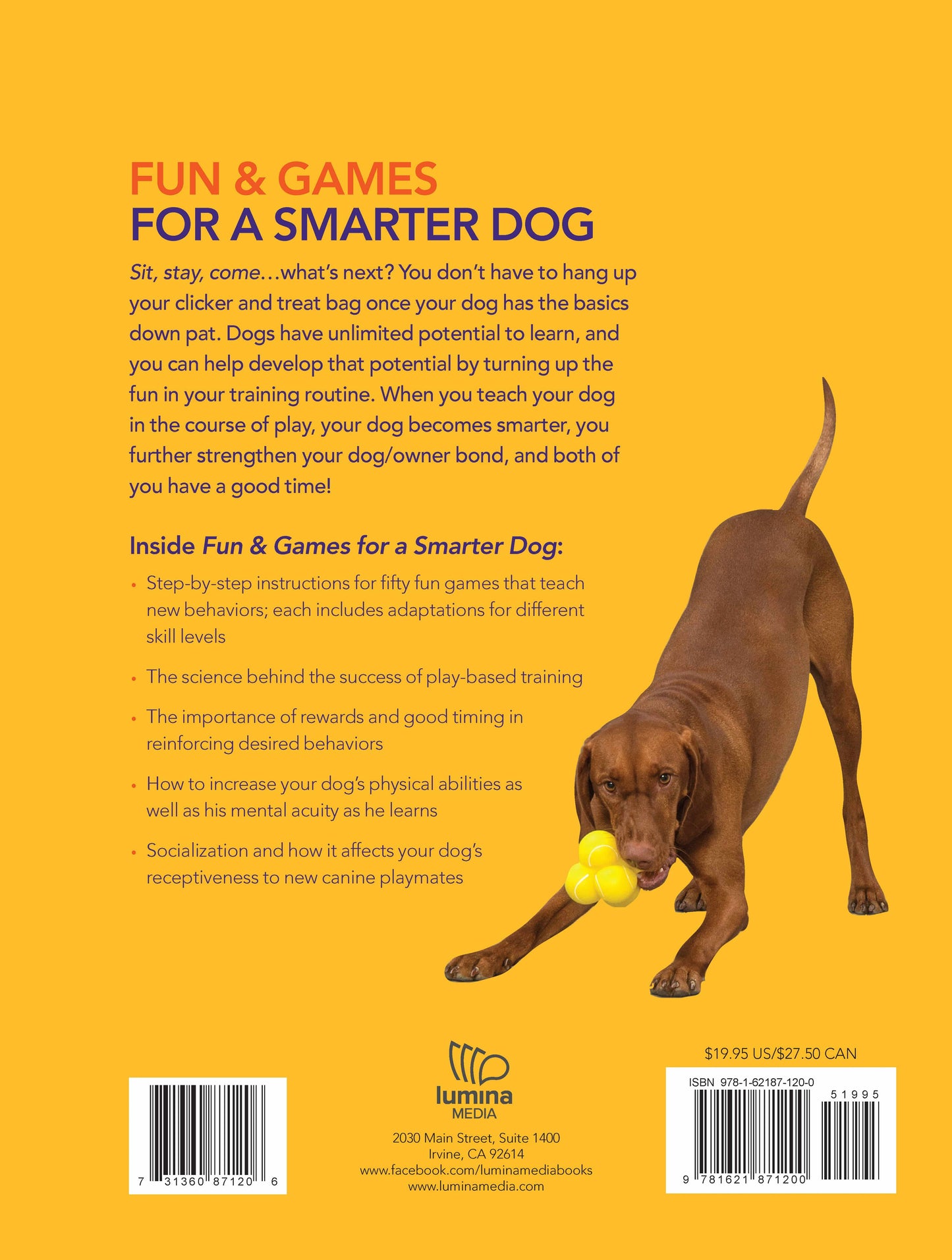 Fun & Games for a Smarter Dog