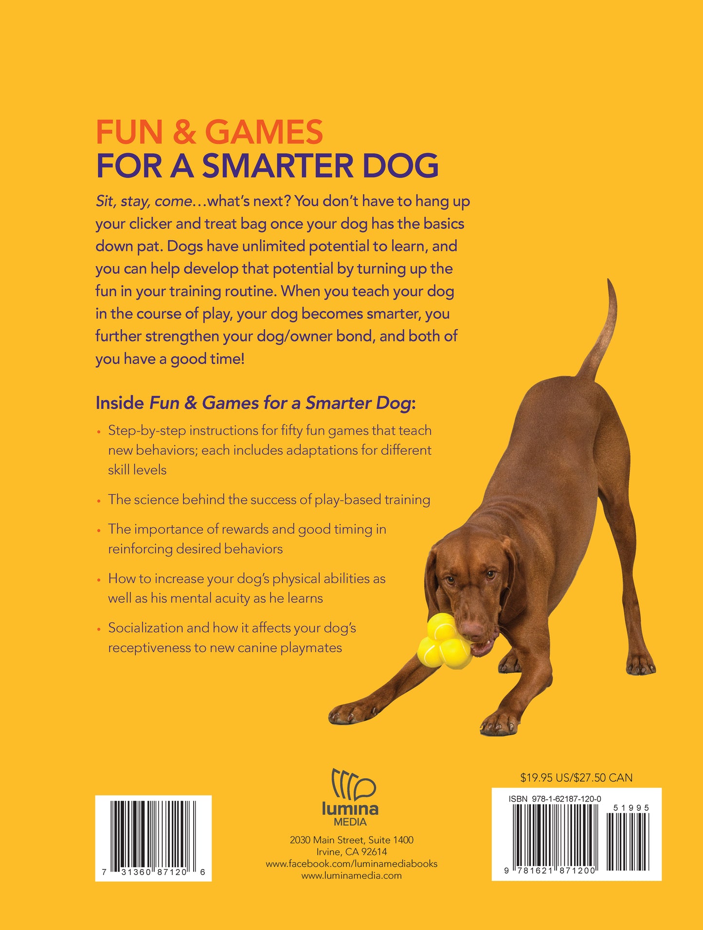 Fun & Games for a Smarter Dog