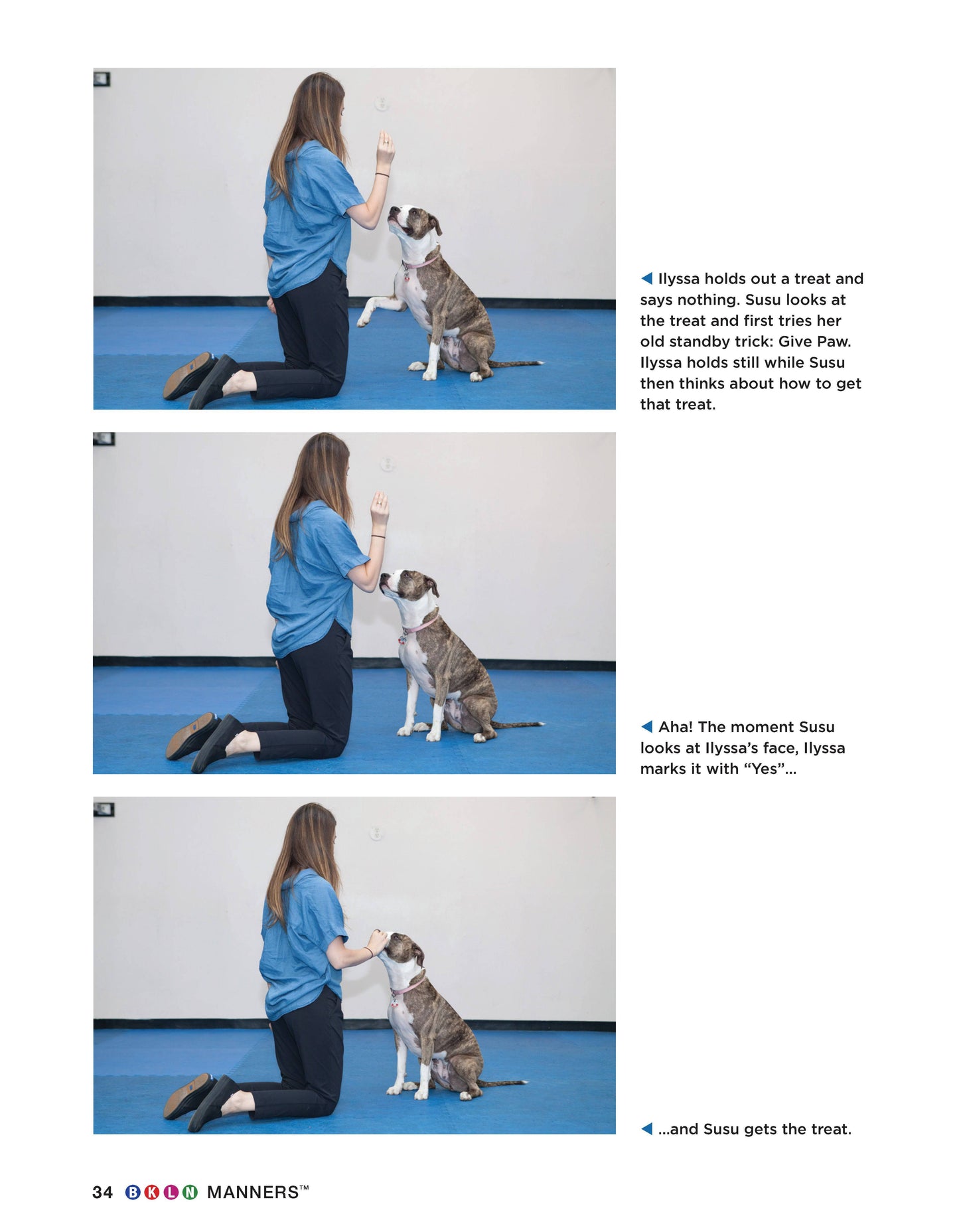 BKLN Manners - Fox Chapel Publishing Co.