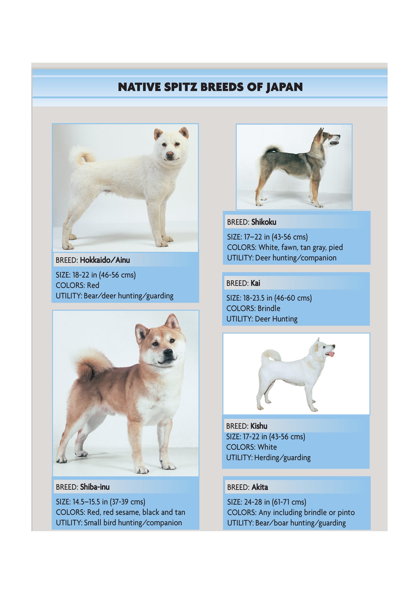 Akita (Comprehensive Owner's Guide) - Fox Chapel Publishing Co.
