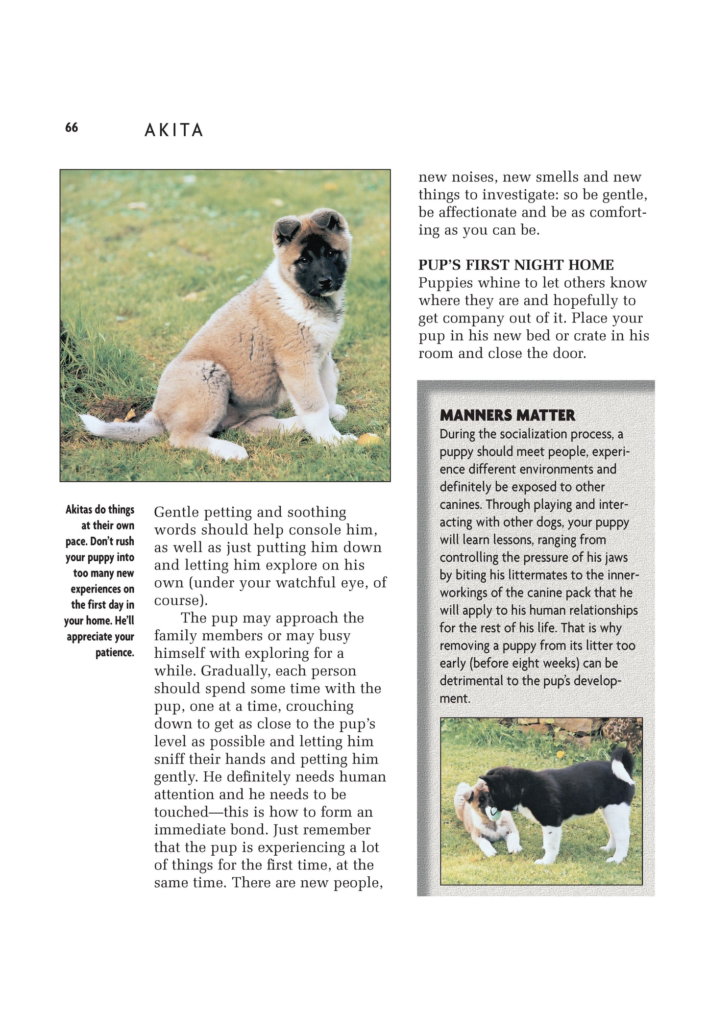 Akita (Comprehensive Owner's Guide) - Fox Chapel Publishing Co.
