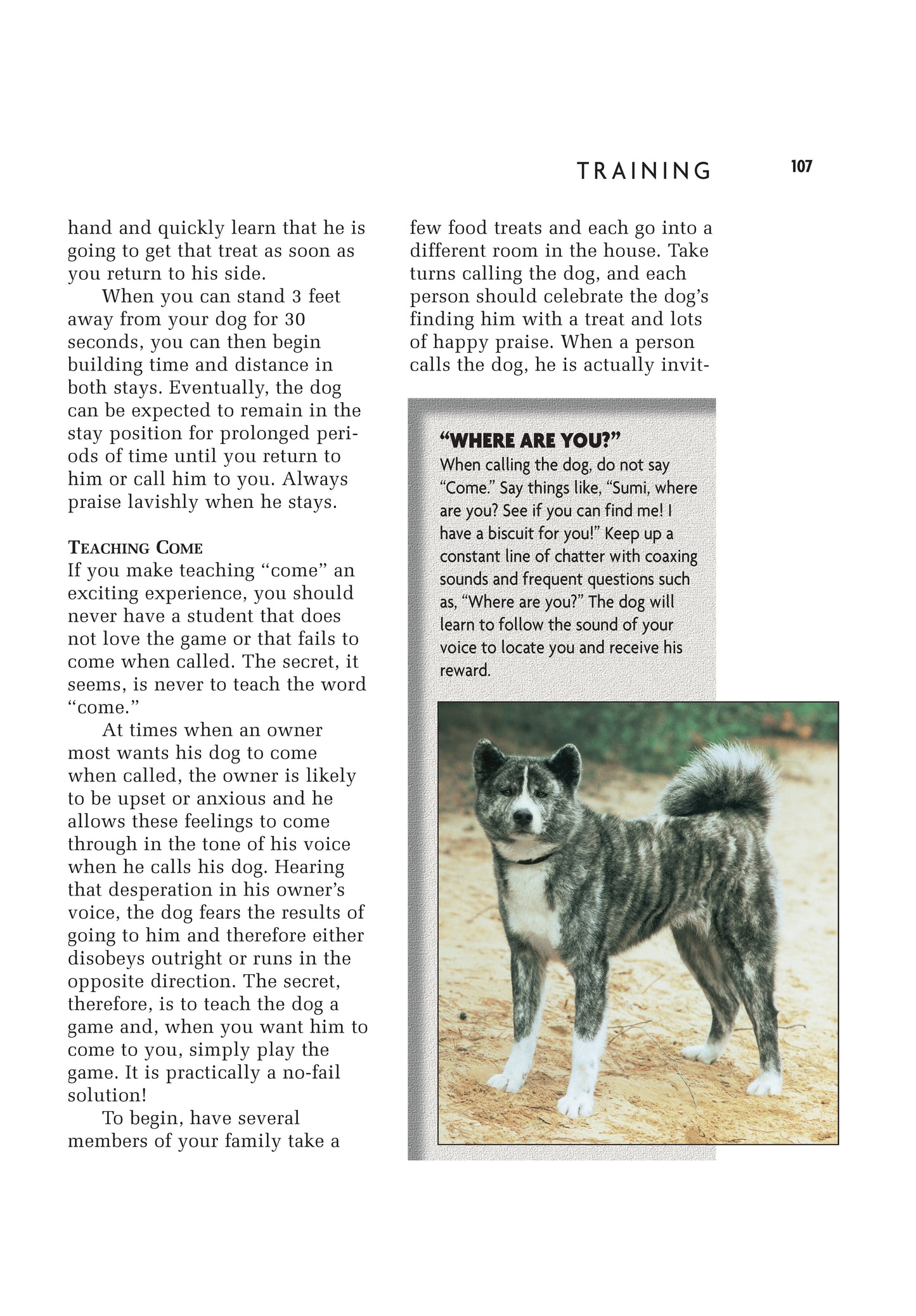Akita (Comprehensive Owner's Guide) - Fox Chapel Publishing Co.