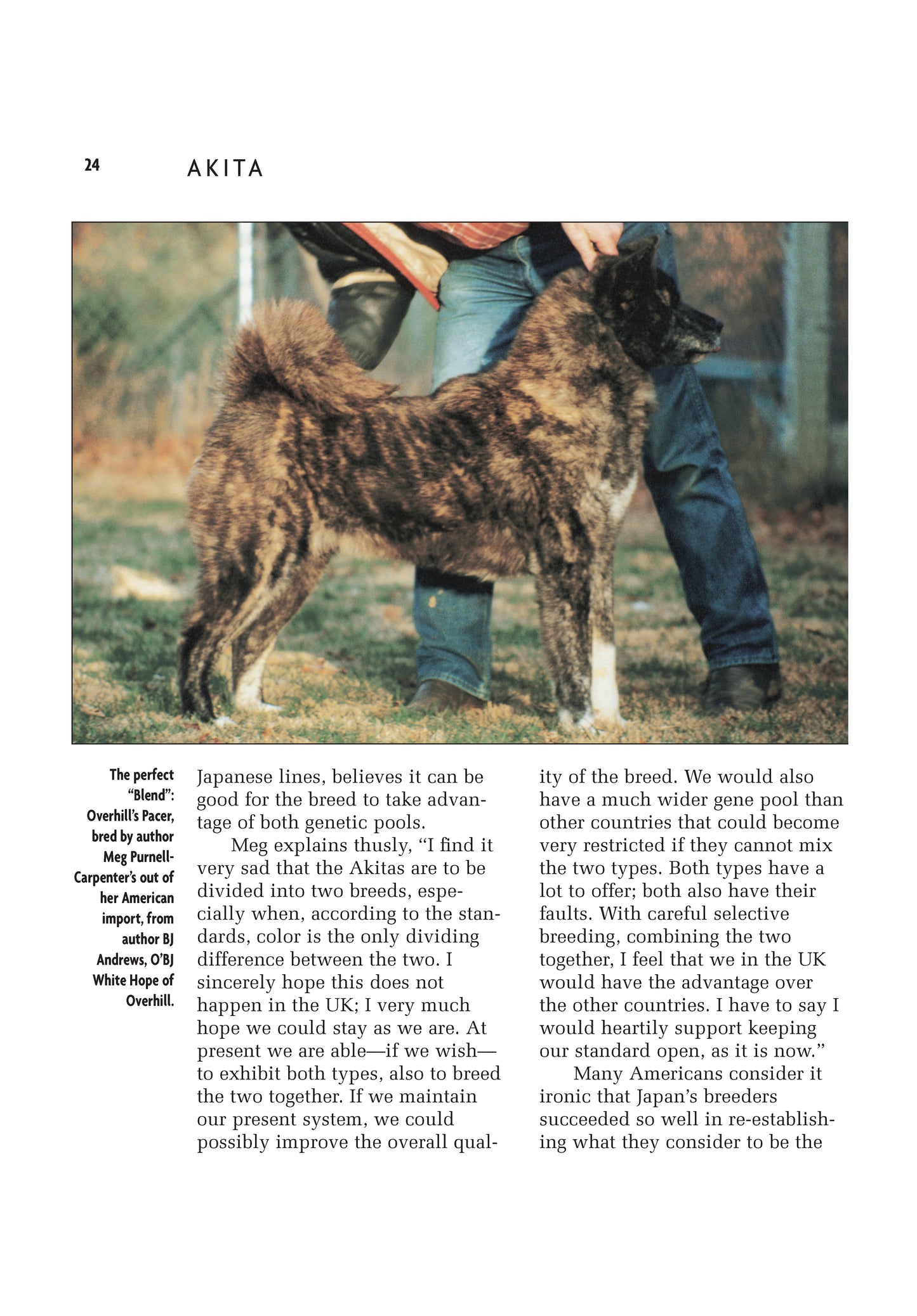 Akita (Comprehensive Owner's Guide) - Fox Chapel Publishing Co.