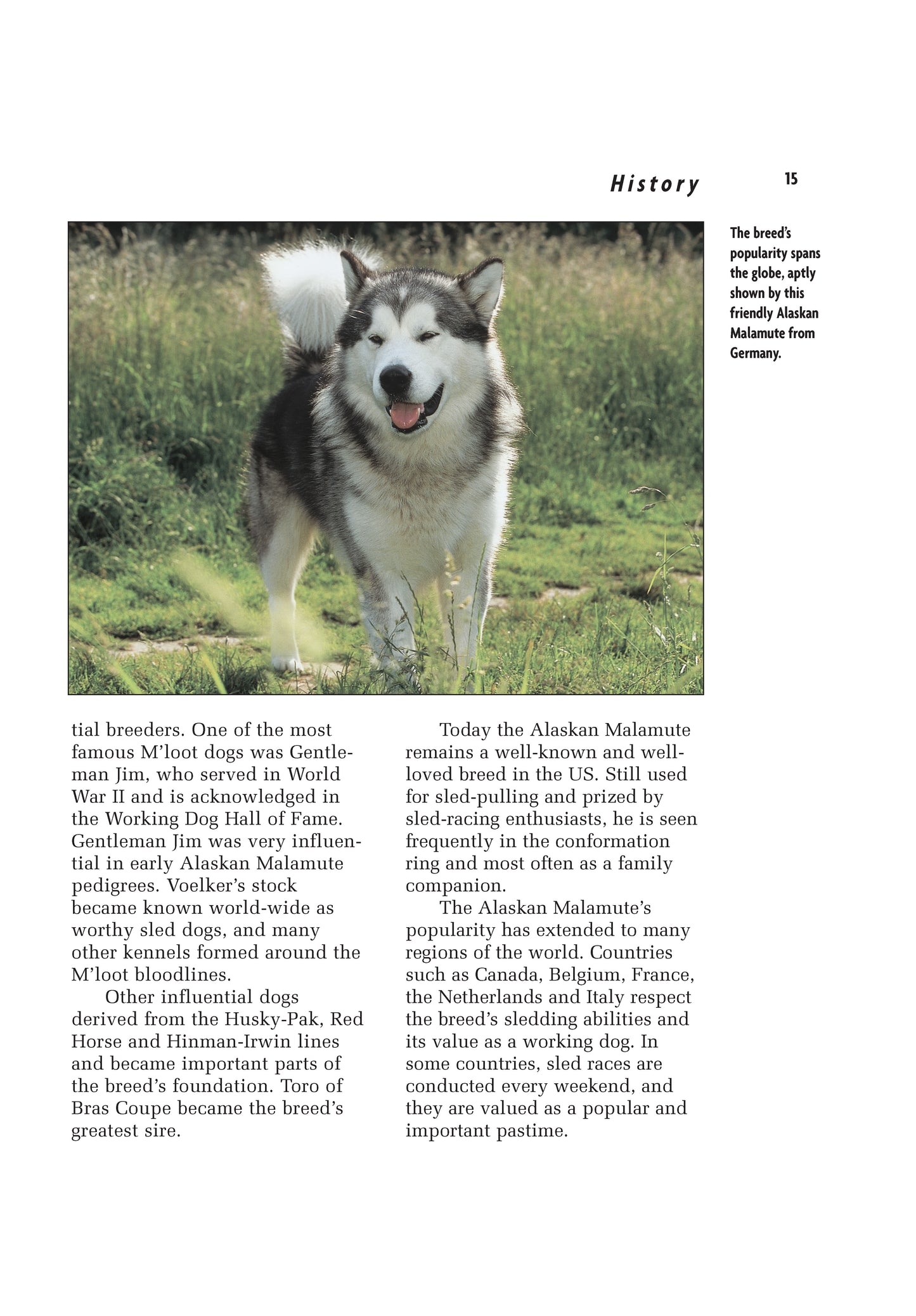 Alaskan Malamute (Comprehensive Owner's Guide) - Fox Chapel Publishing Co.