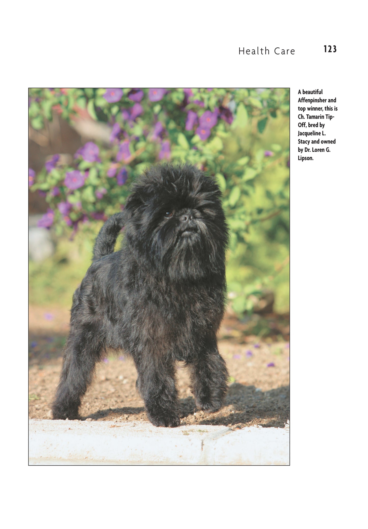 Affenpinscher (Comprehensive Owner's Guide) - Fox Chapel Publishing Co.