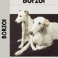 Borzoi (Comprehensive Owner's Guide)
