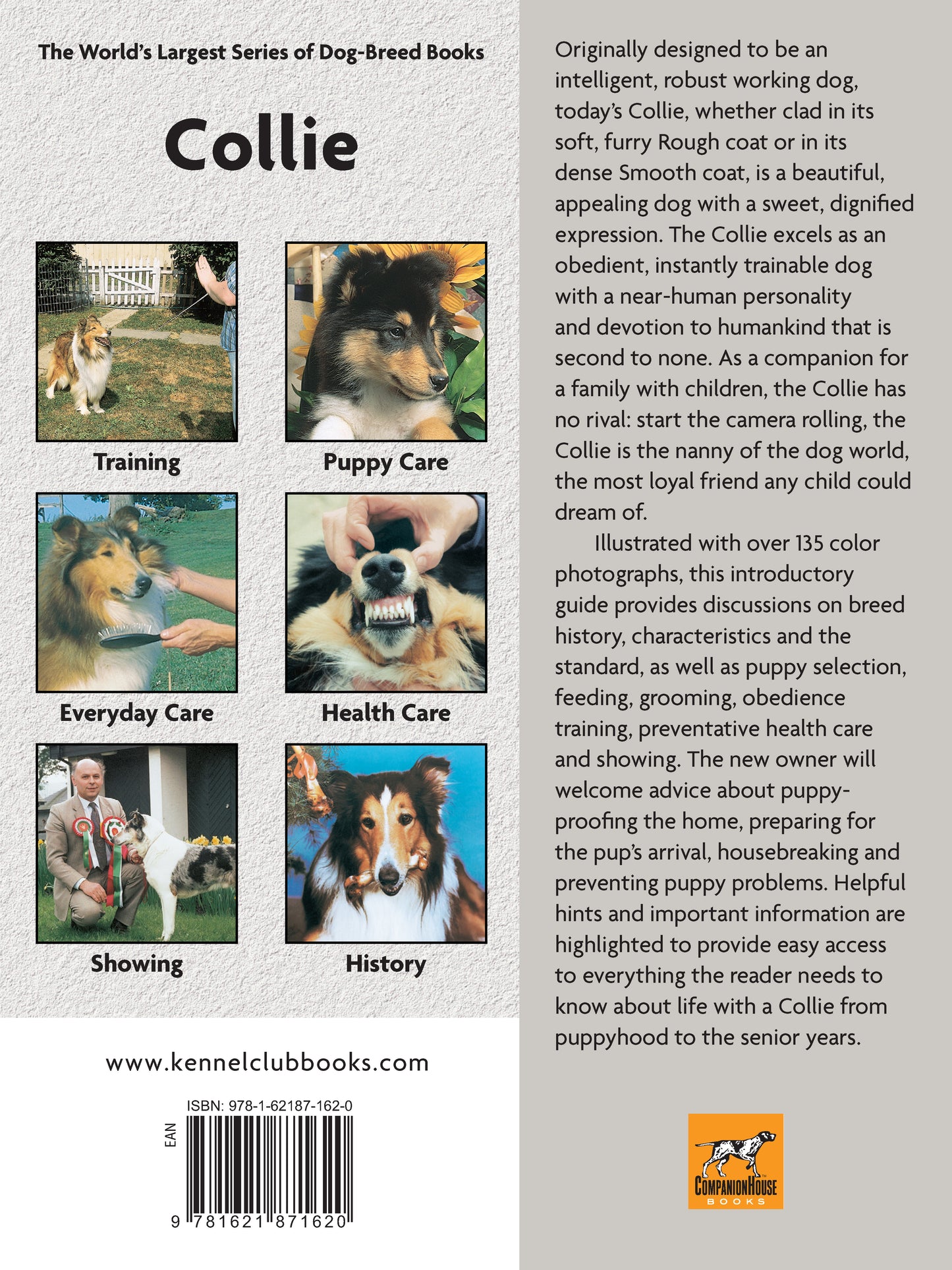 Collie (Comprehensive Owner's Guide) - Fox Chapel Publishing Co.