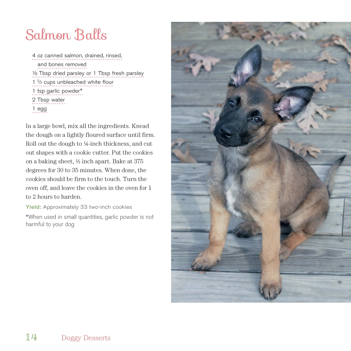 Doggy Desserts - Fox Chapel Publishing Co.