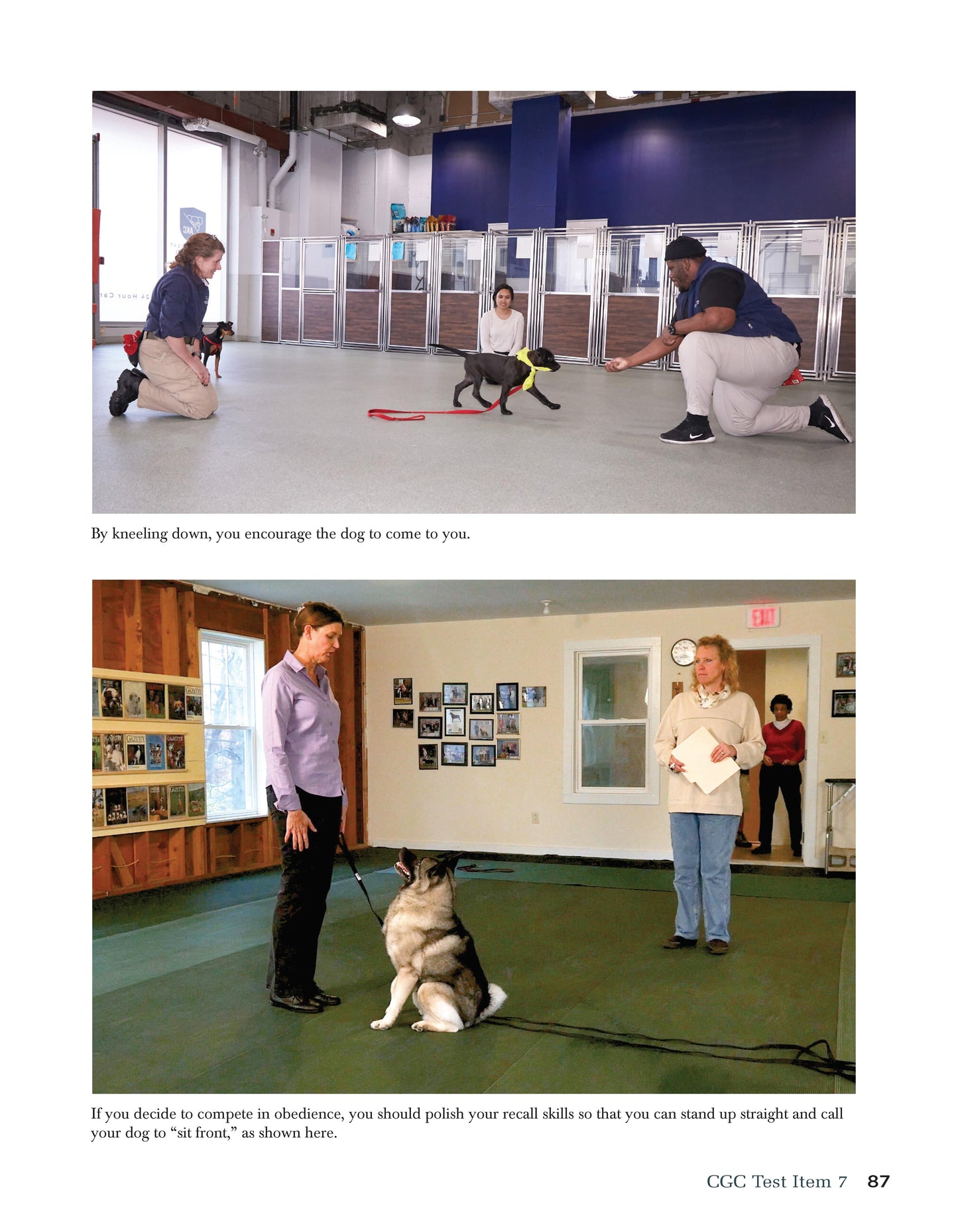 Canine Good Citizen - The Official AKC Guide - Fox Chapel Publishing Co.