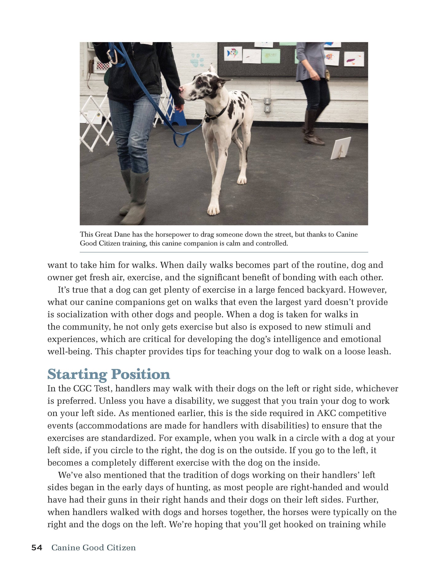 Canine Good Citizen - The Official AKC Guide - Fox Chapel Publishing Co.