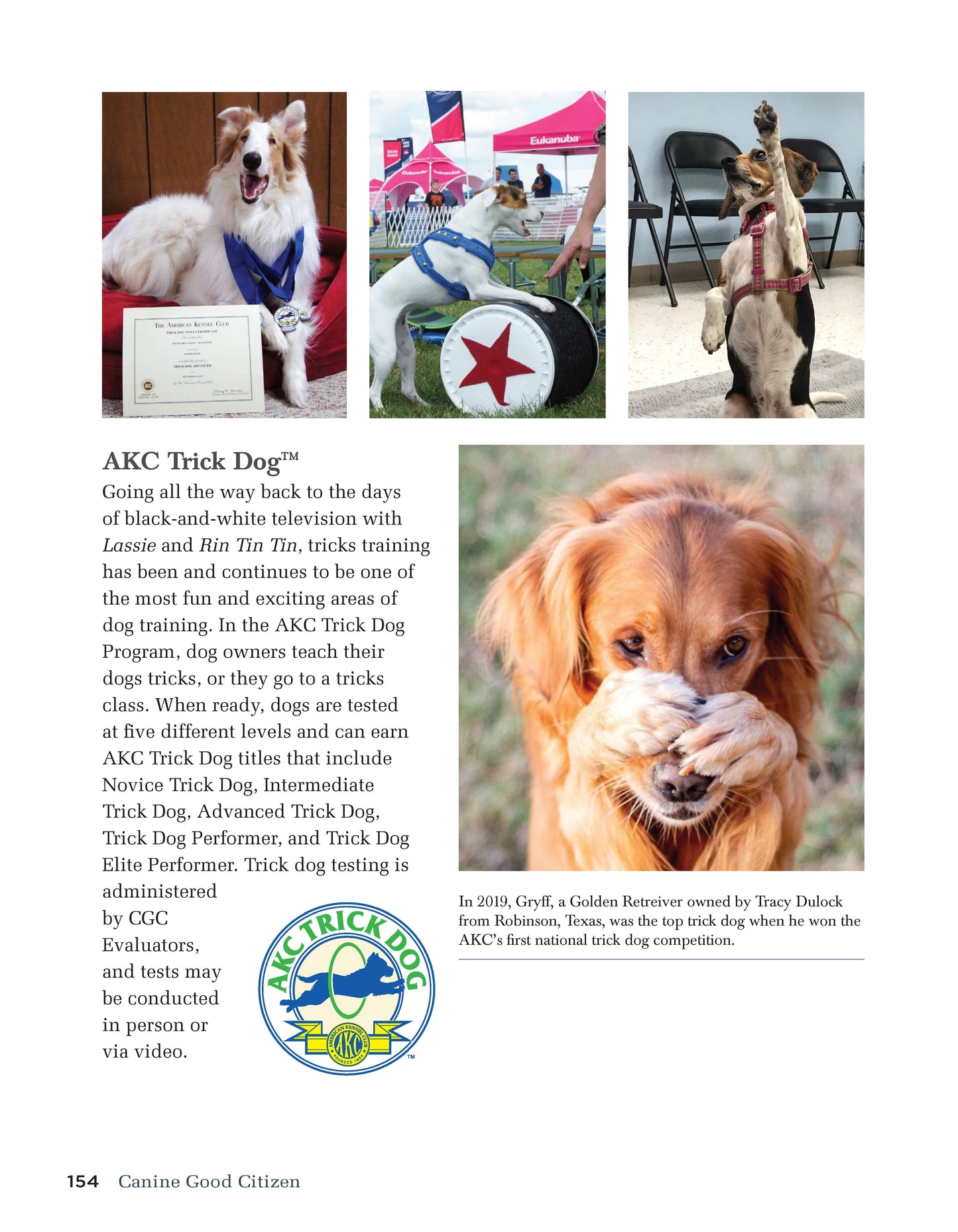 Canine Good Citizen - The Official AKC Guide - Fox Chapel Publishing Co.