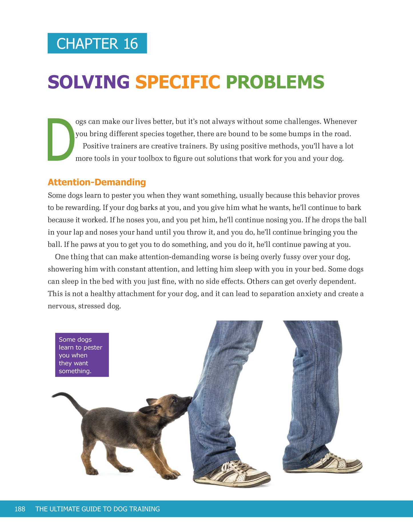 Ultimate Guide to Dog Training - Fox Chapel Publishing Co.
