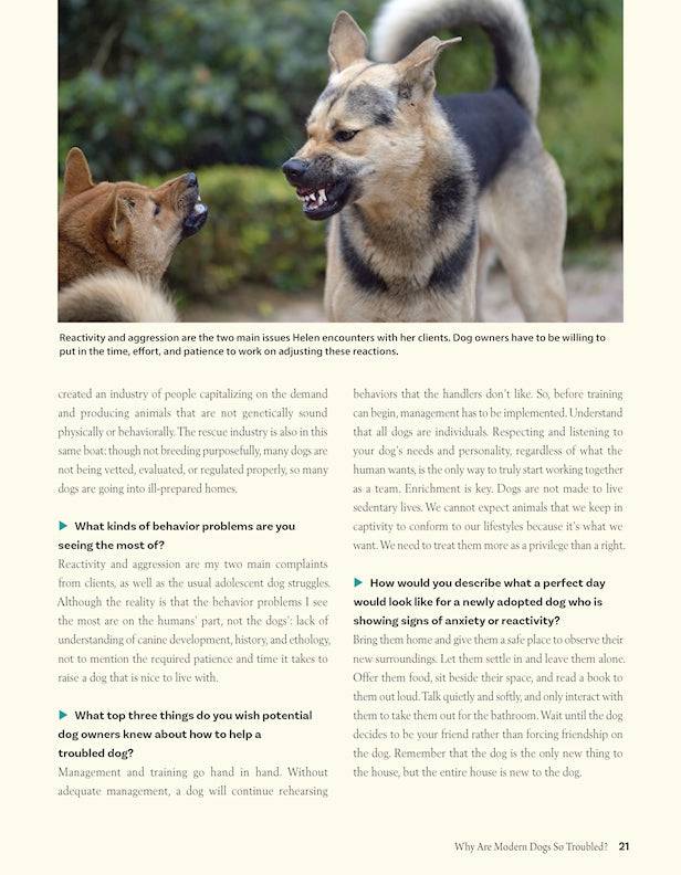 Positive Training for Aggressive and Reactive Dogs - Fox Chapel Publishing Co.