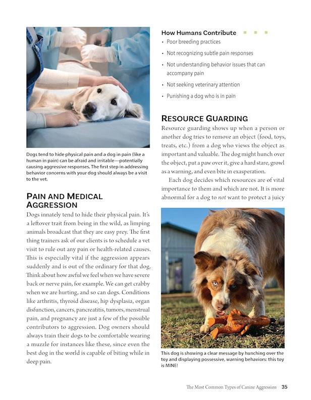 Positive Training for Aggressive and Reactive Dogs - Fox Chapel Publishing Co.