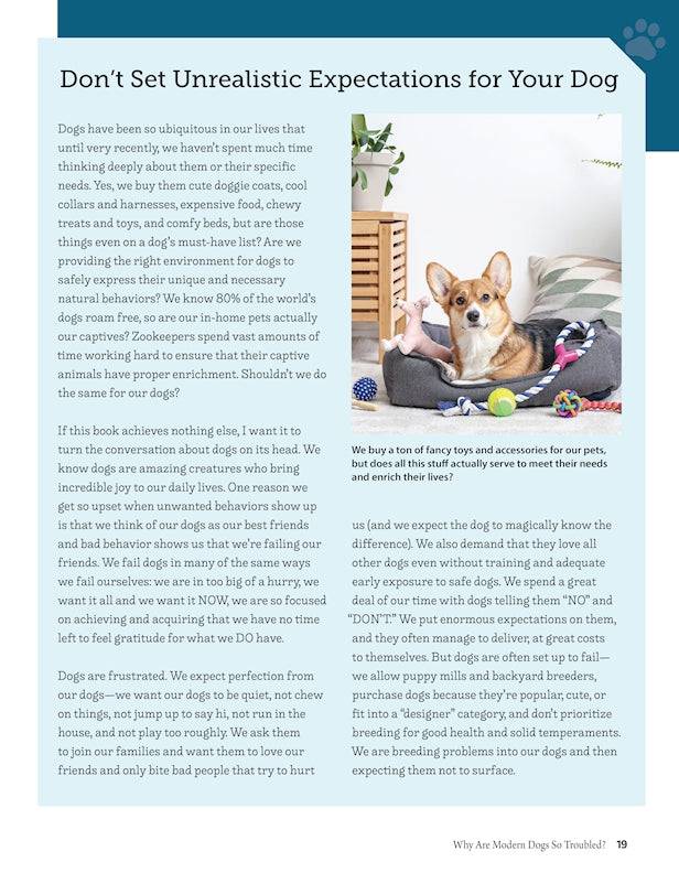 Positive Training for Aggressive and Reactive Dogs - Fox Chapel Publishing Co.