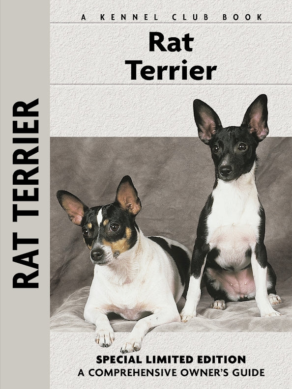 Fox Terrier Rat Terrier Rat Terrier Long Hair Wire Haired Rat