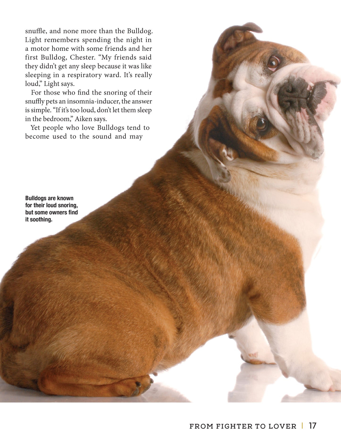 Bulldog - Fox Chapel Publishing Co.