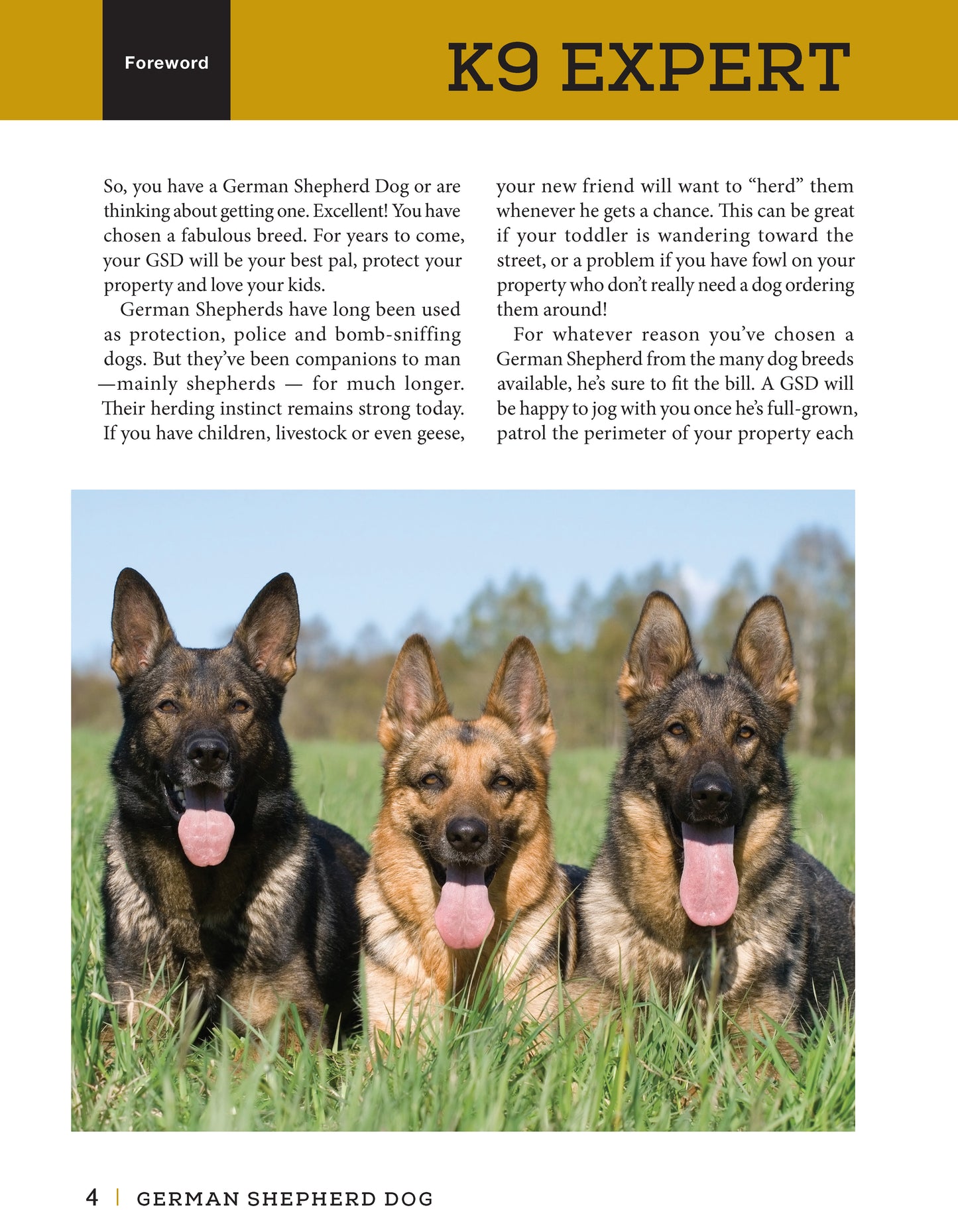 German Shepherd Dog - Fox Chapel Publishing Co.