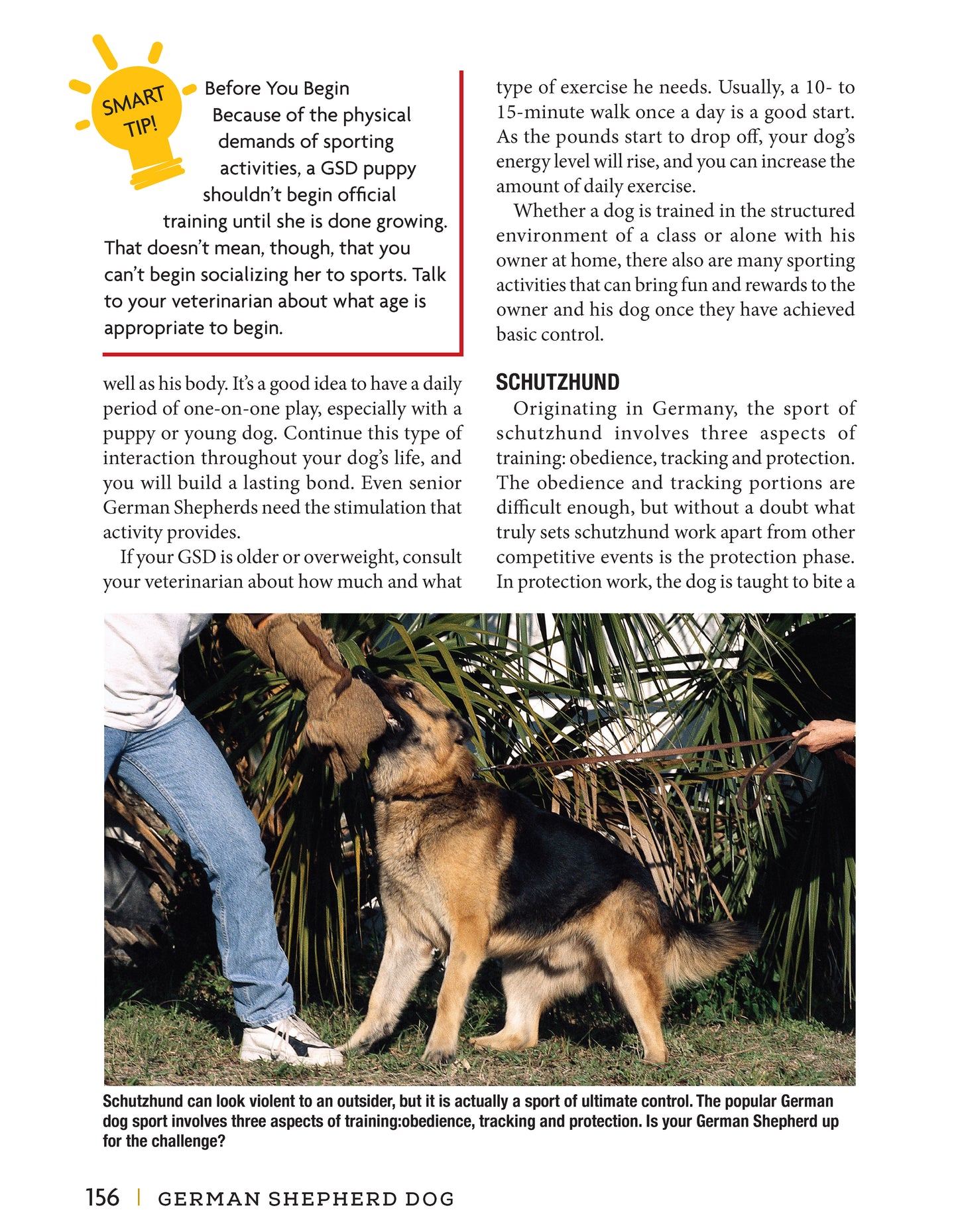 German Shepherd Dog - Fox Chapel Publishing Co.