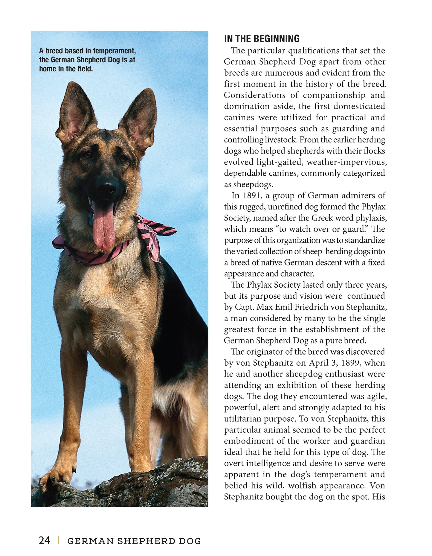 German Shepherd Dog - Fox Chapel Publishing Co.