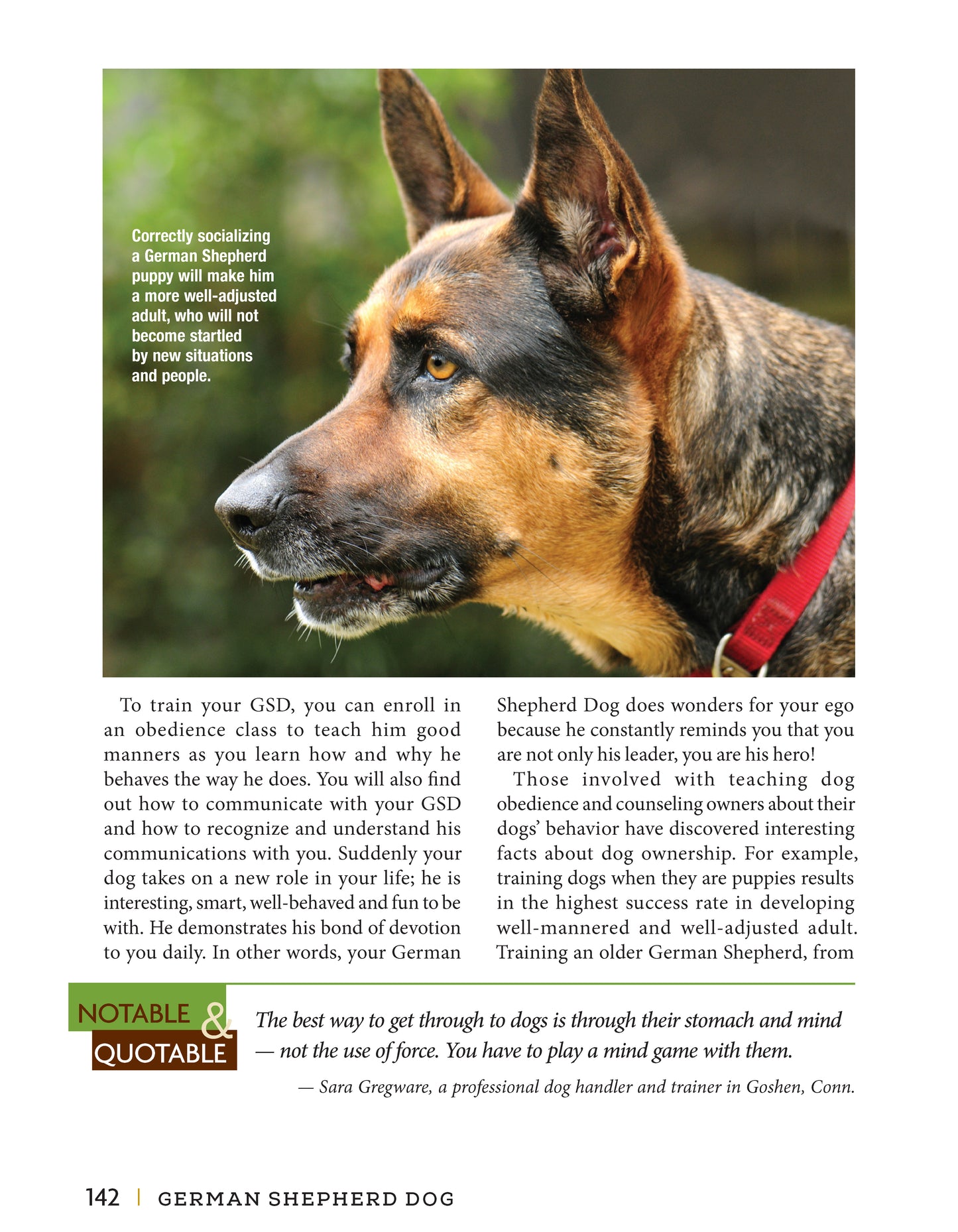 German Shepherd Dog - Fox Chapel Publishing Co.