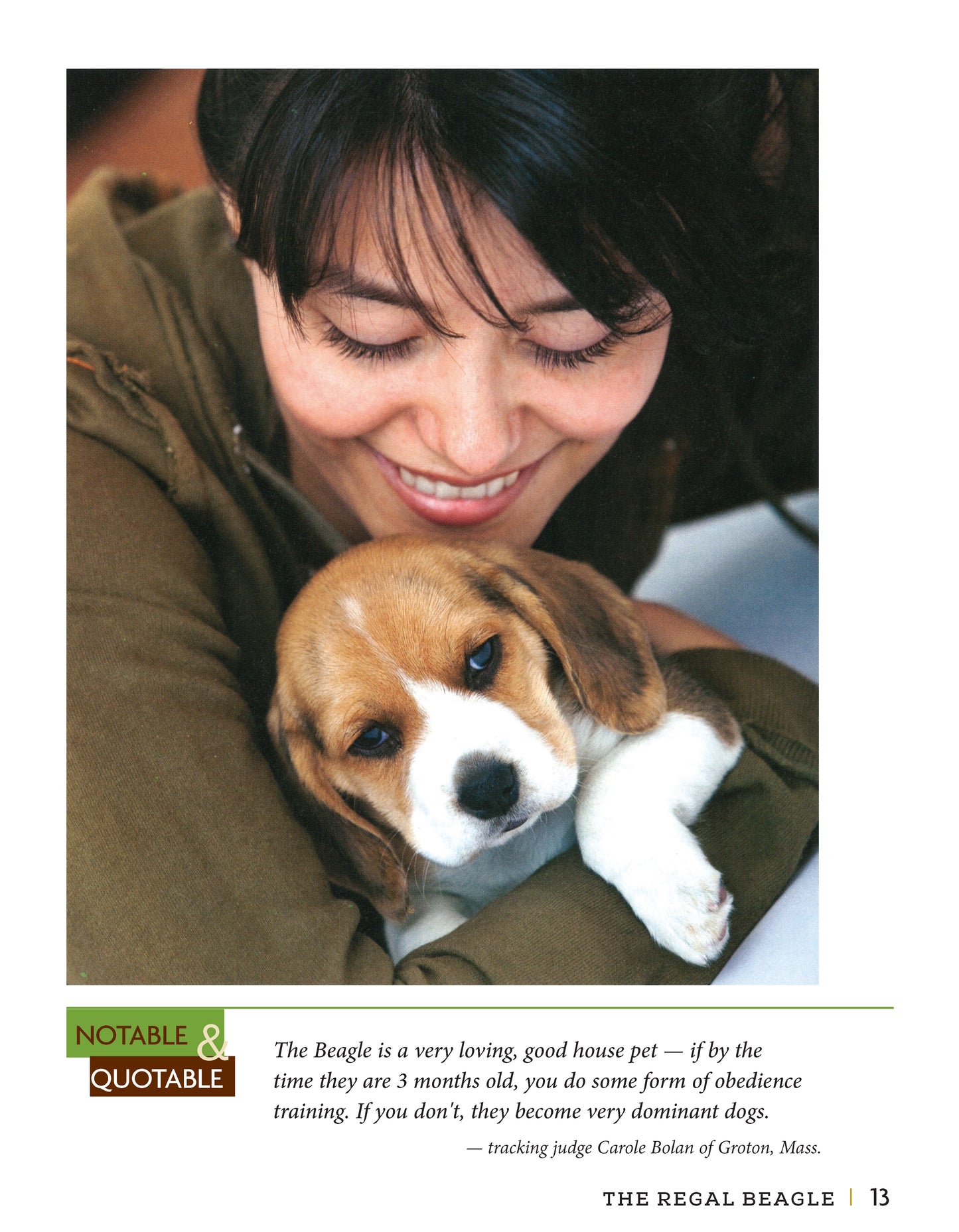 Beagle - Fox Chapel Publishing Co.
