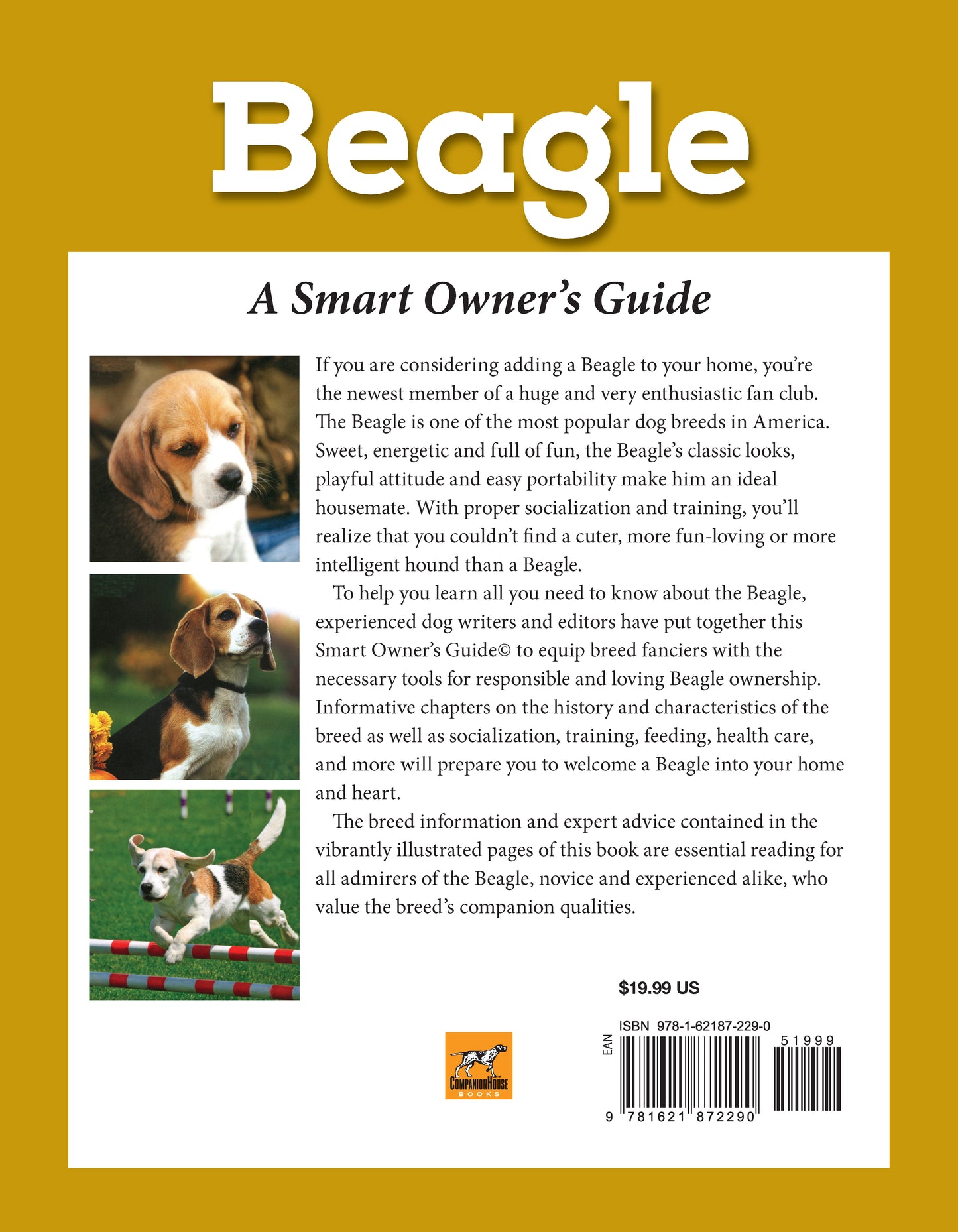 Beagle - Fox Chapel Publishing Co.