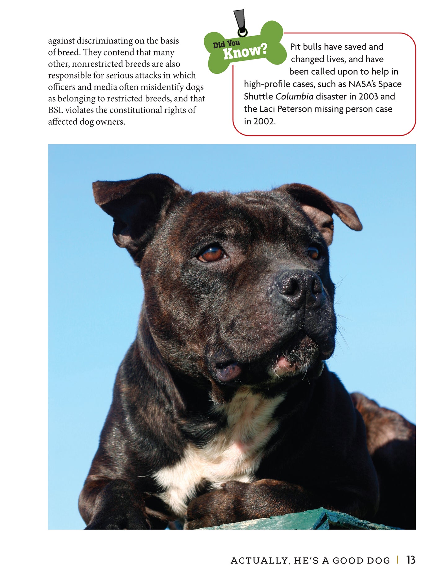 American Pit Bull Terrier - Fox Chapel Publishing Co.