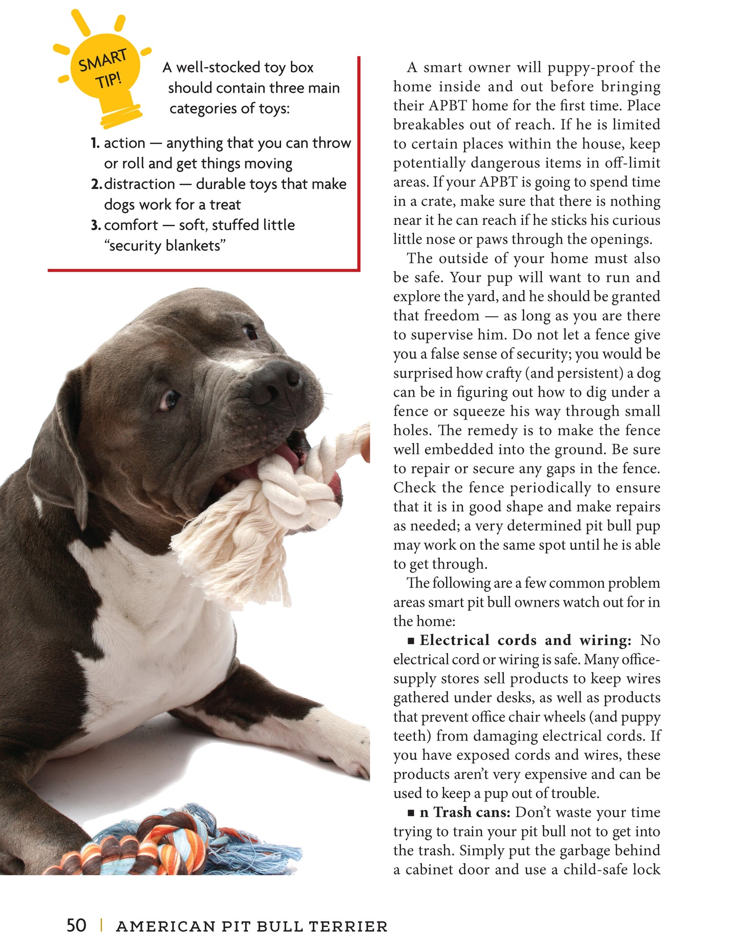 American Pit Bull Terrier - Fox Chapel Publishing Co.