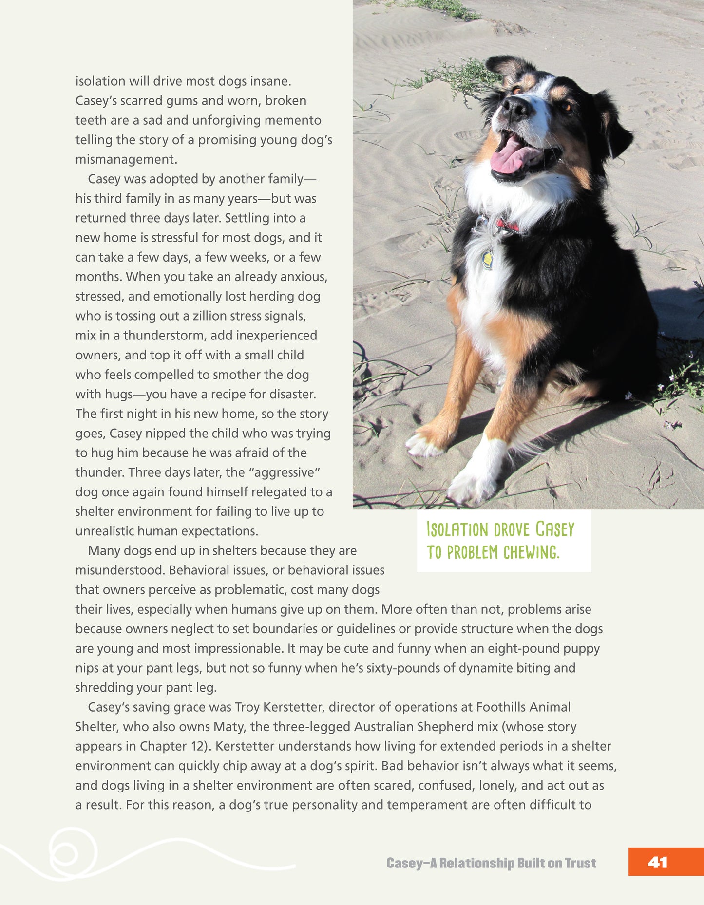 Rescued Dog Problem Solver - Fox Chapel Publishing Co.