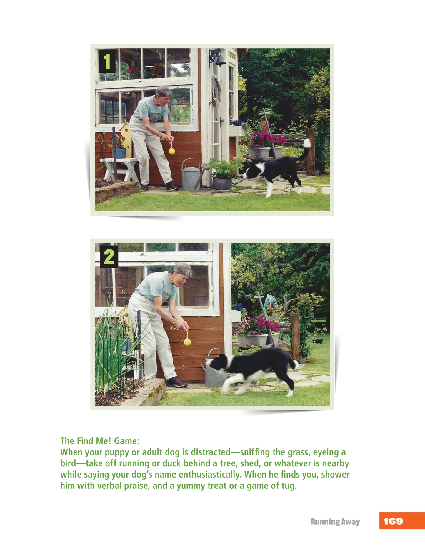 Rescued Dog Problem Solver - Fox Chapel Publishing Co.