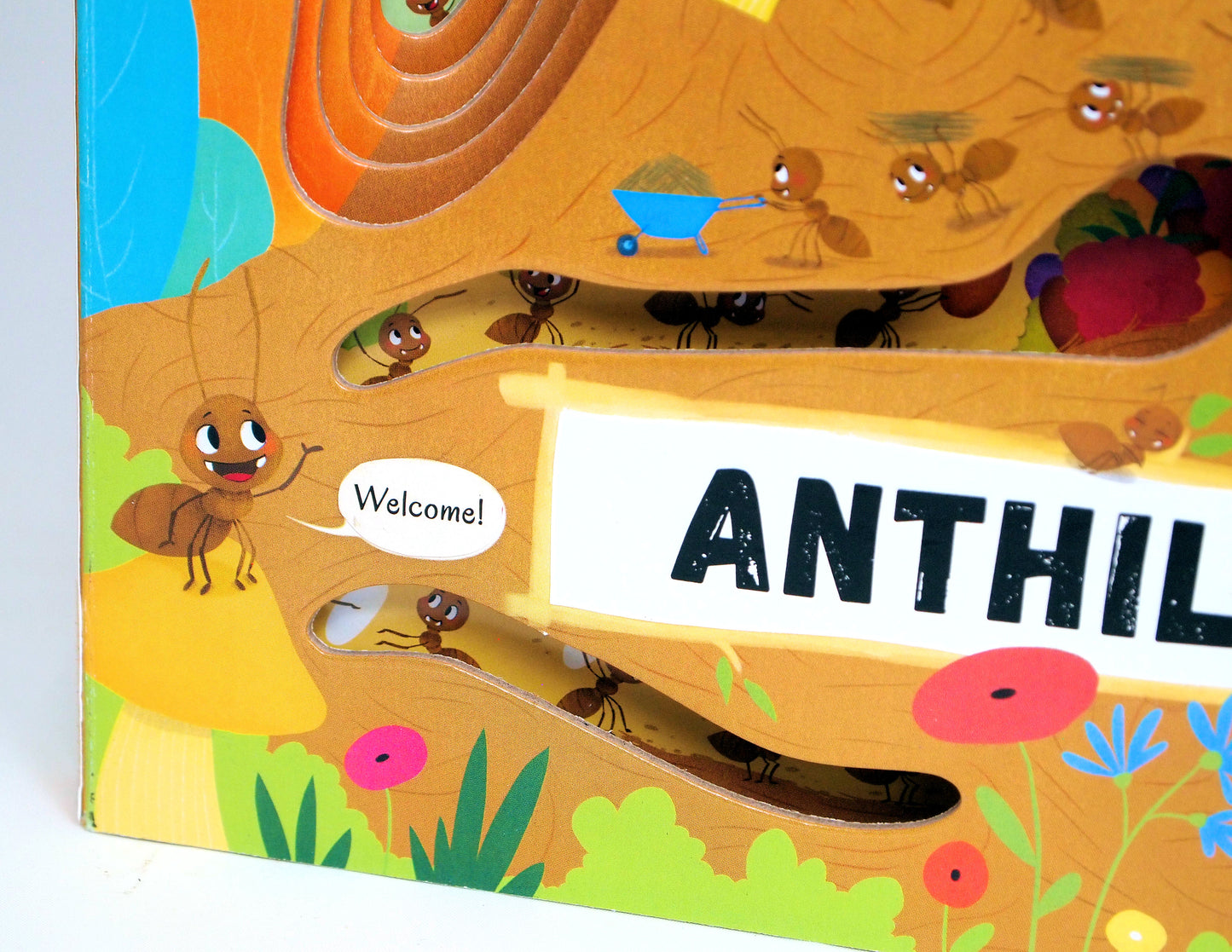 Discovering the Active World of the Anthill - Fox Chapel Publishing Co.