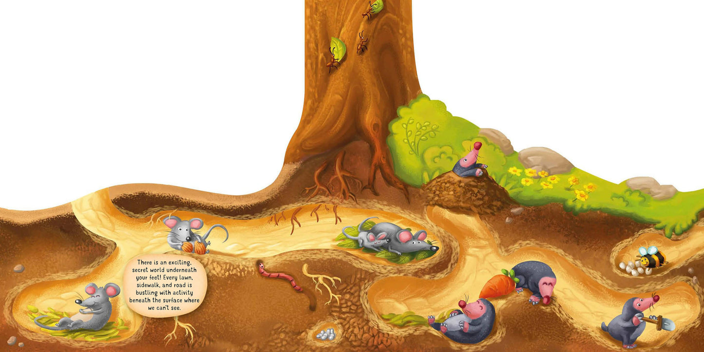 Discovering the Secret World of Nature Underground - Fox Chapel Publishing Co.