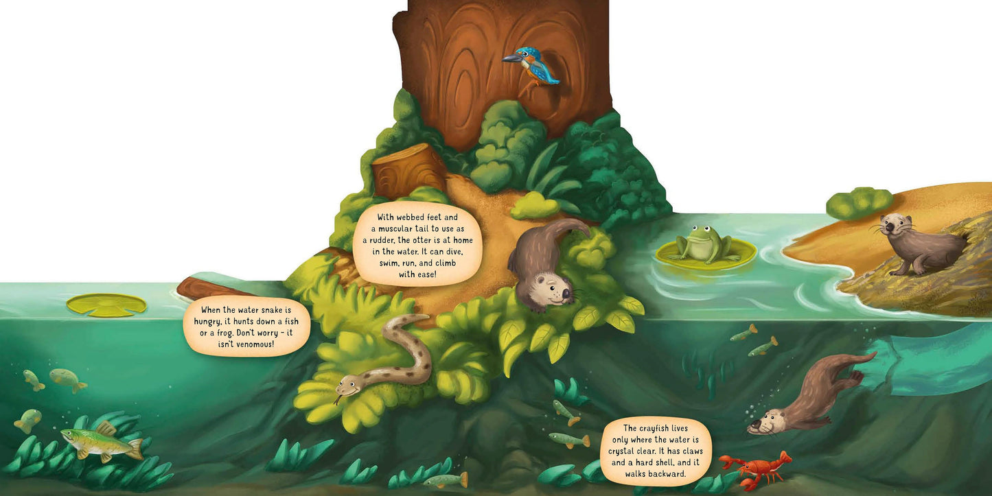 Discovering the World of Nature Along the Riverbank - Fox Chapel Publishing Co.