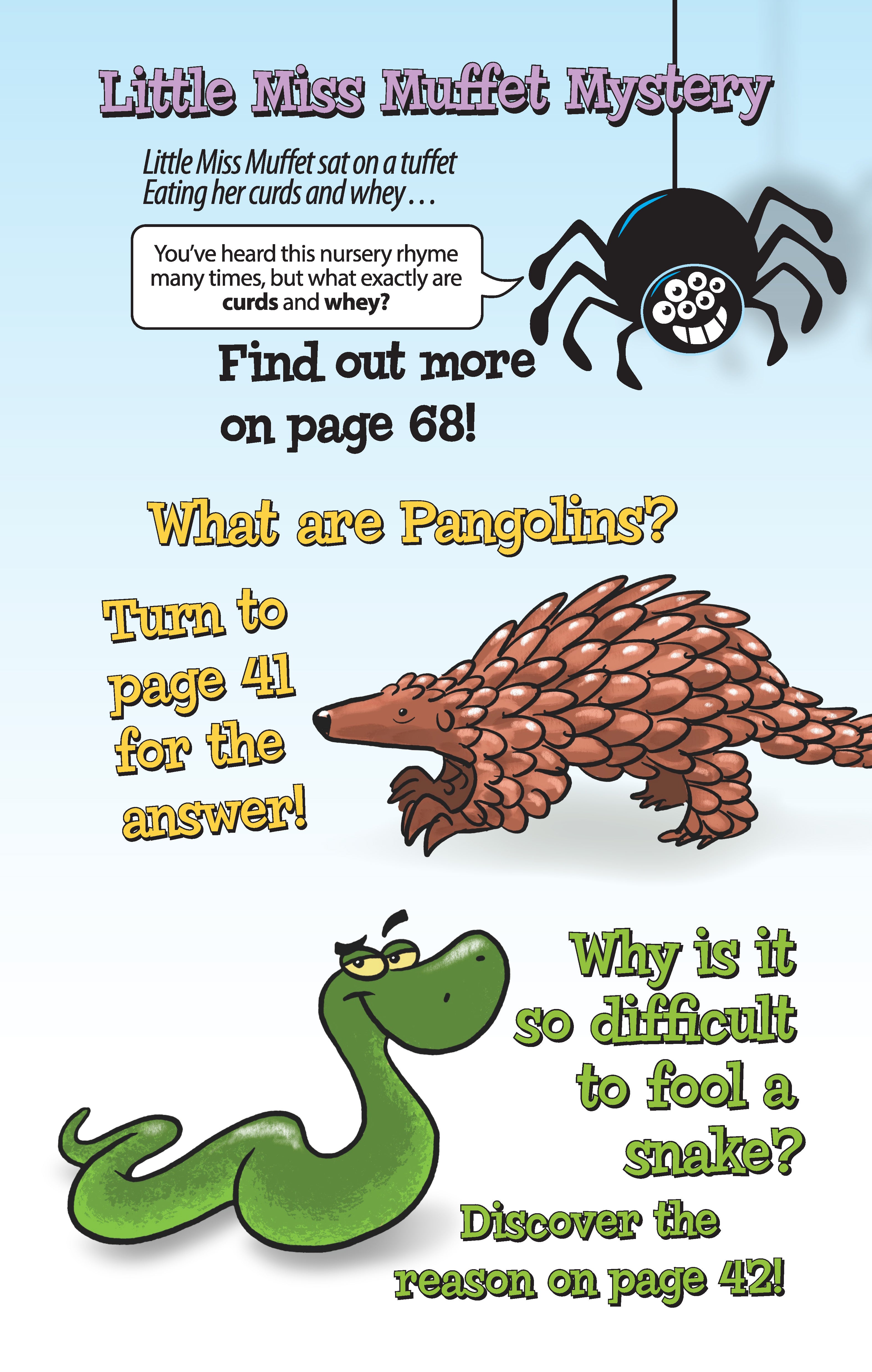 Super Fun Road Trip Activities for Kids - Fox Chapel Publishing Co.