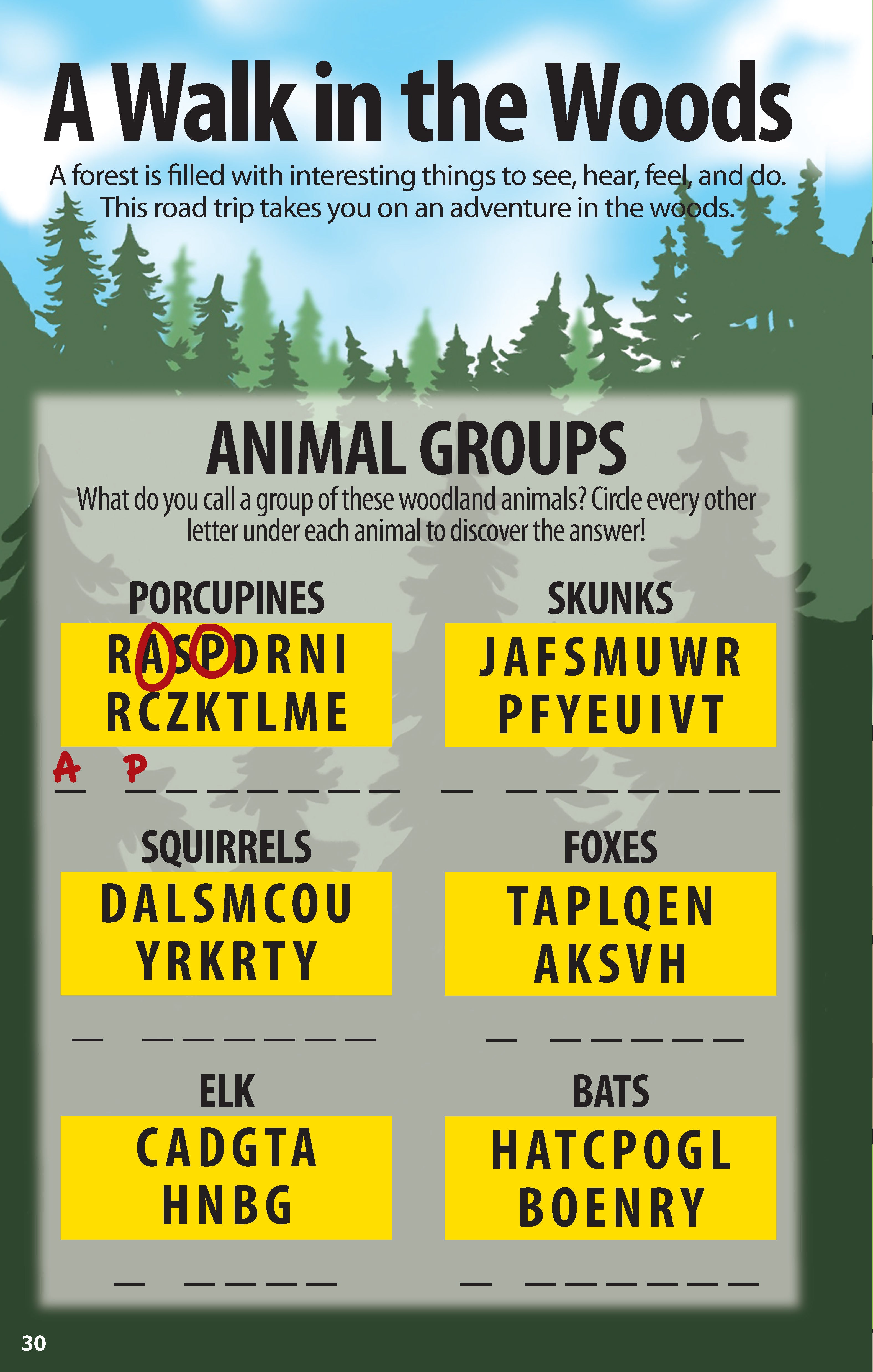 Super Fun Road Trip Activities for Kids - Fox Chapel Publishing Co.