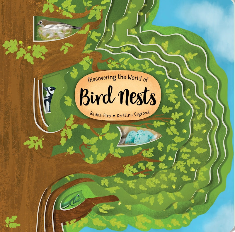 Discovering the World of Bird Nests - Fox Chapel Publishing Co.