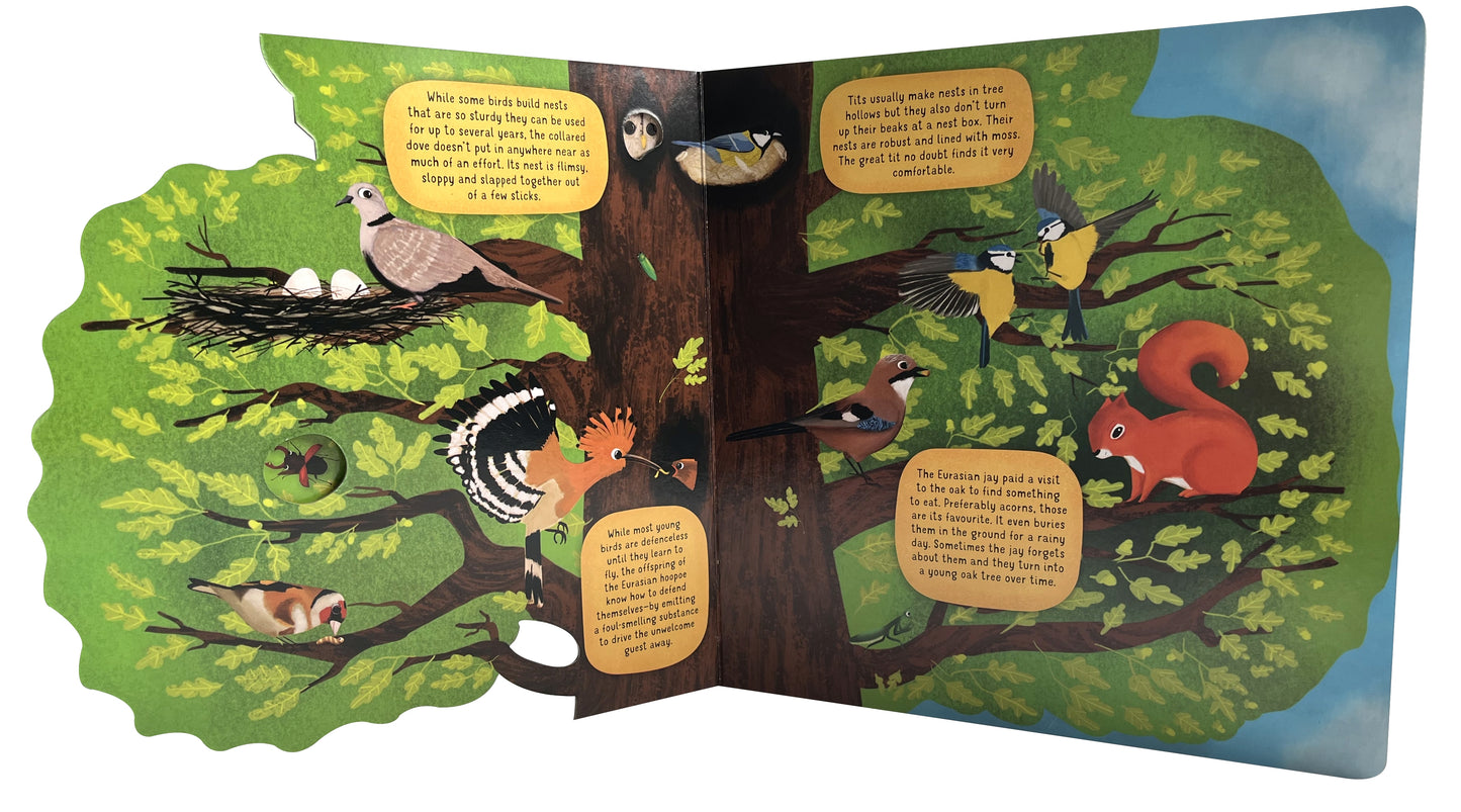 Discovering the World of Bird Nests - Fox Chapel Publishing Co.