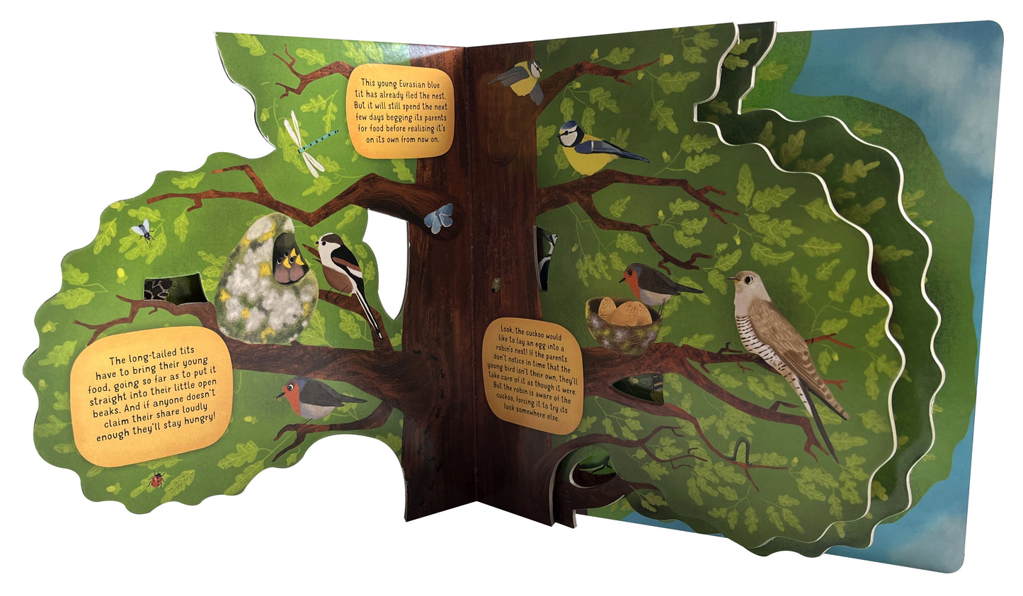 Discovering the World of Bird Nests - Fox Chapel Publishing Co.
