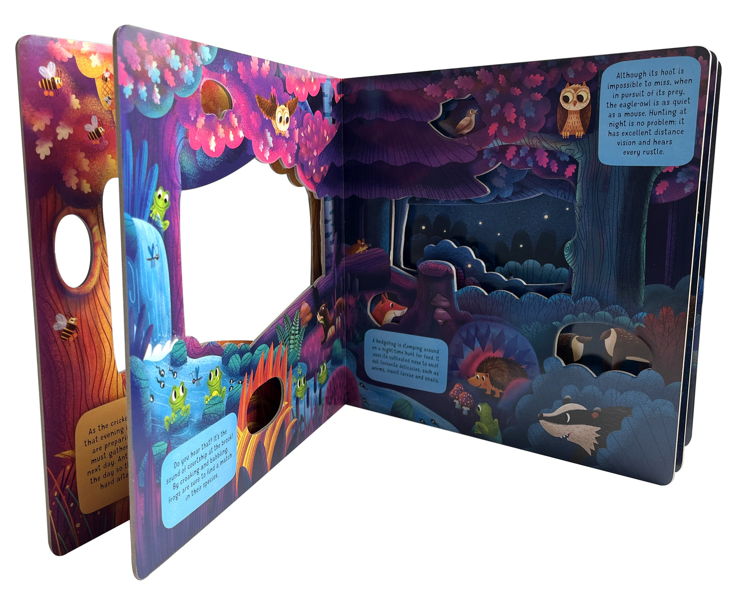 Discovering the Hidden World of Nature at Night - Fox Chapel Publishing Co.